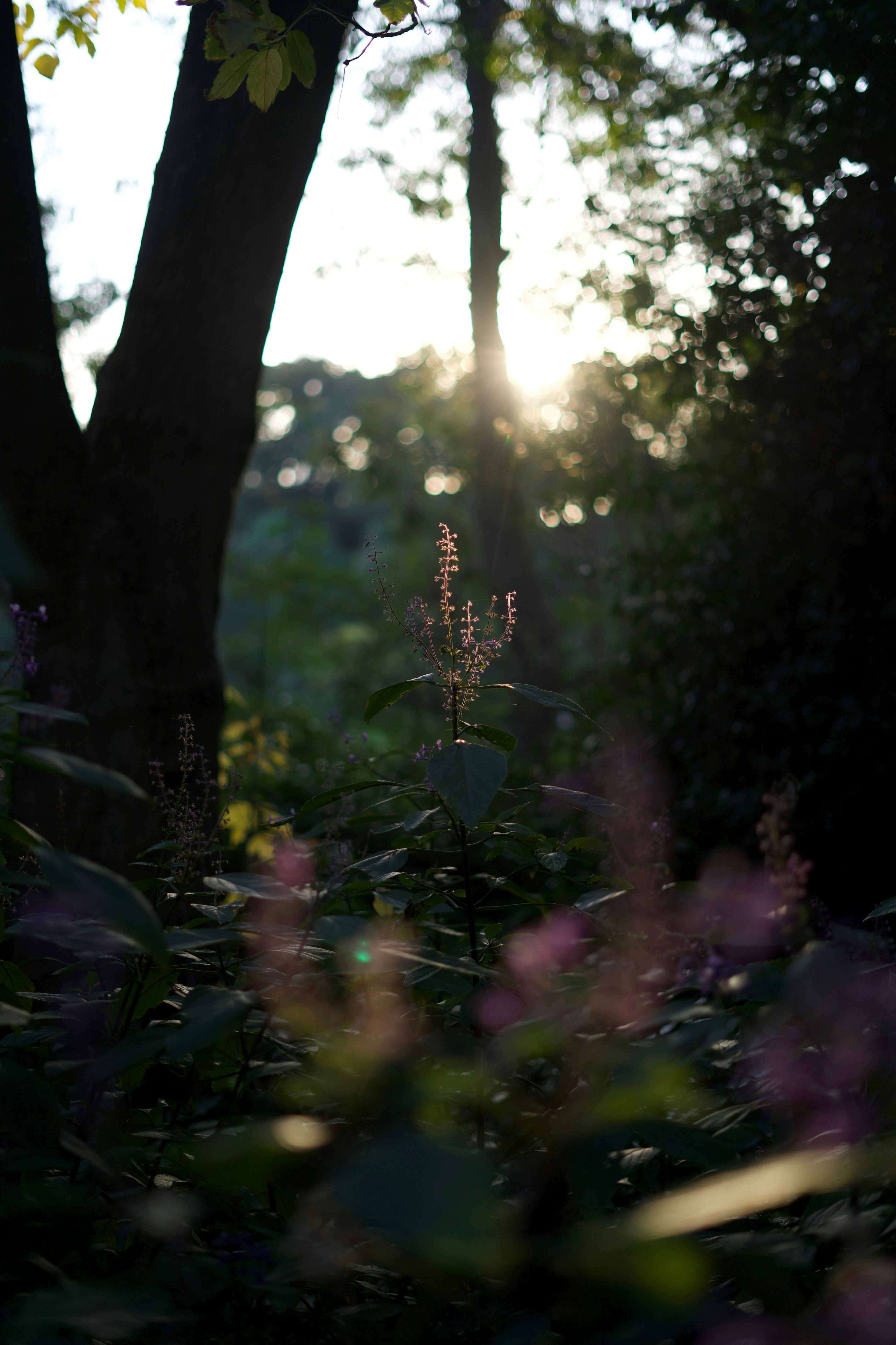 Photo by kris_verityamm