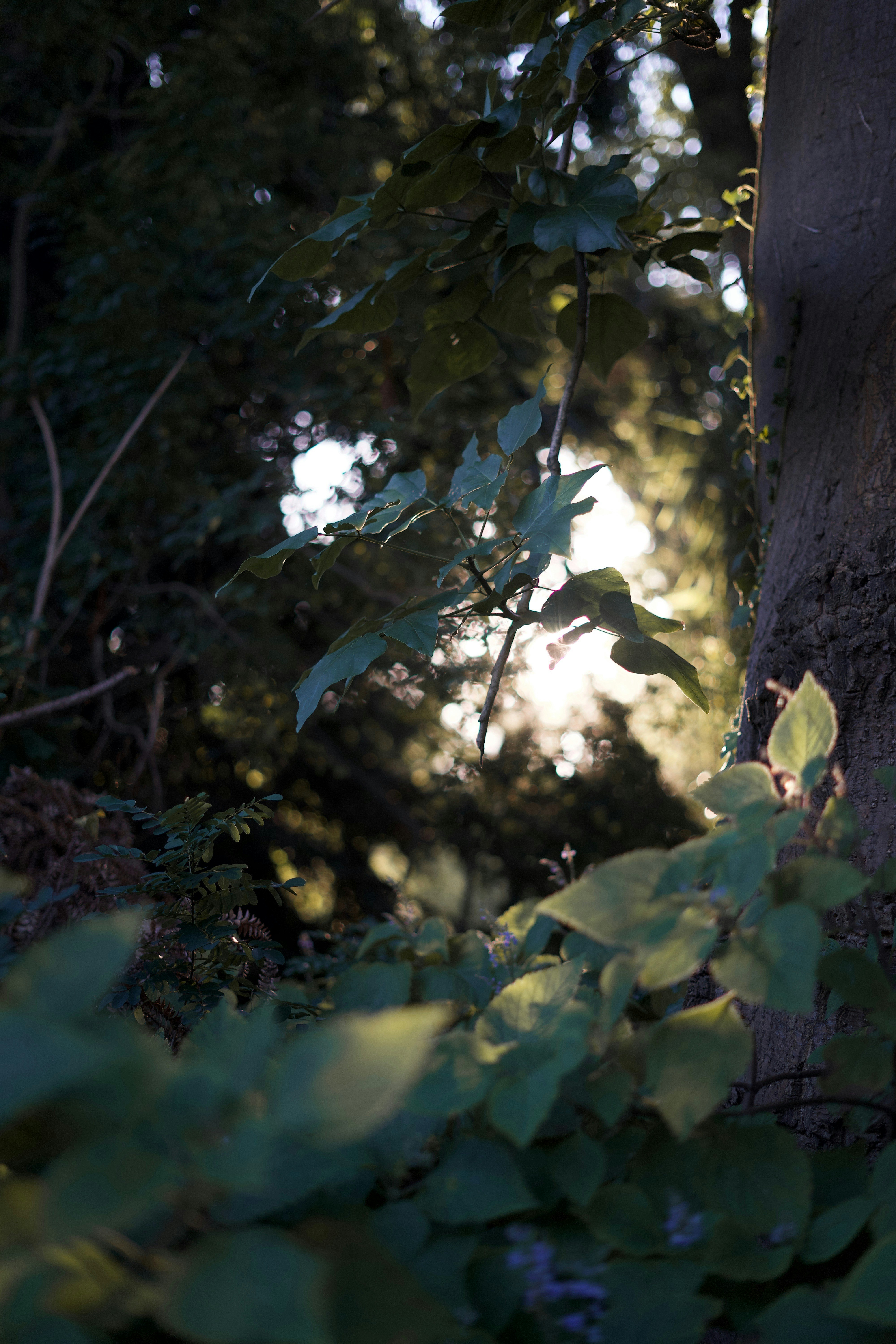 Photo by kris_verityamm