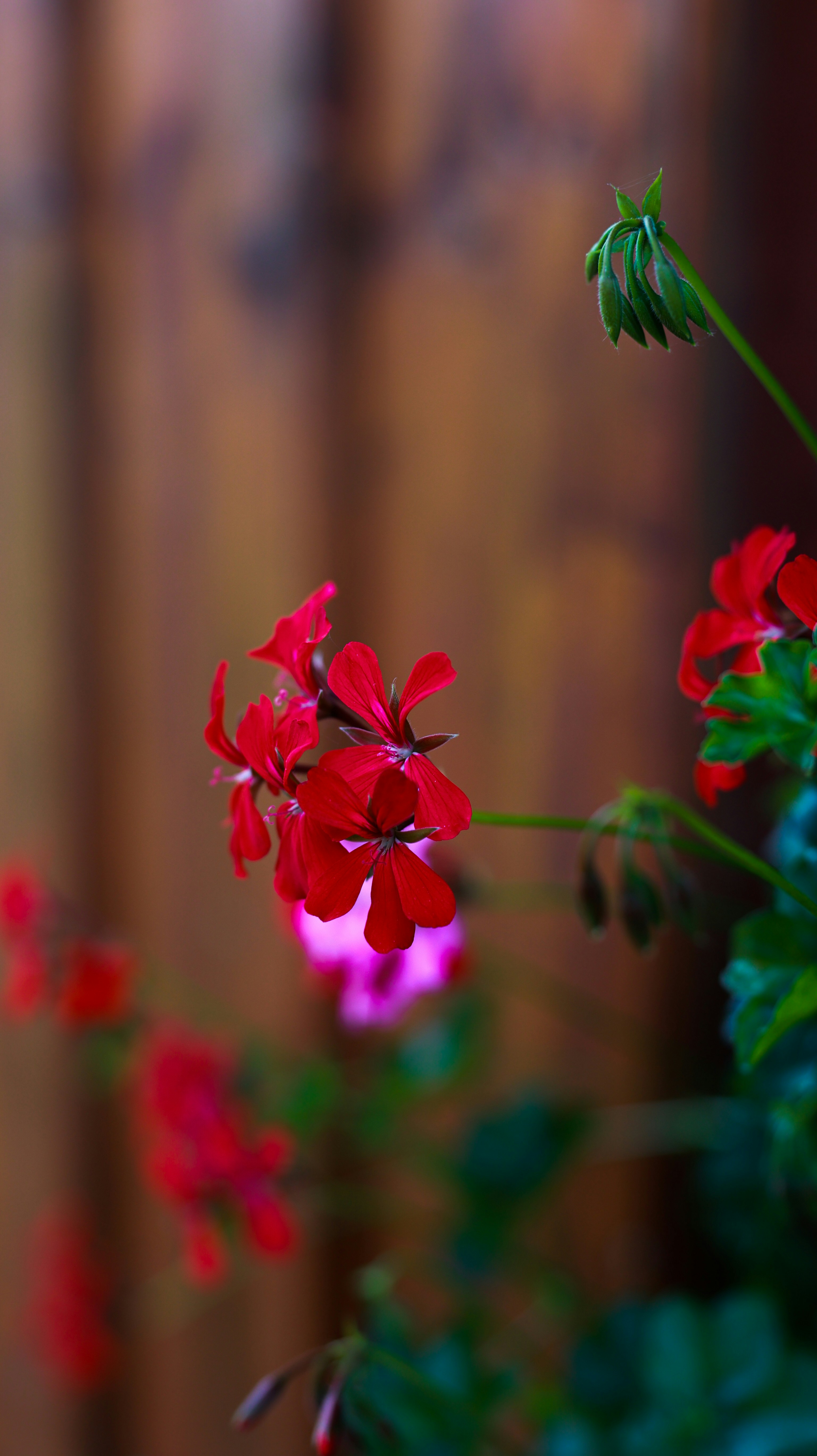 Photo by stefaniejockschat