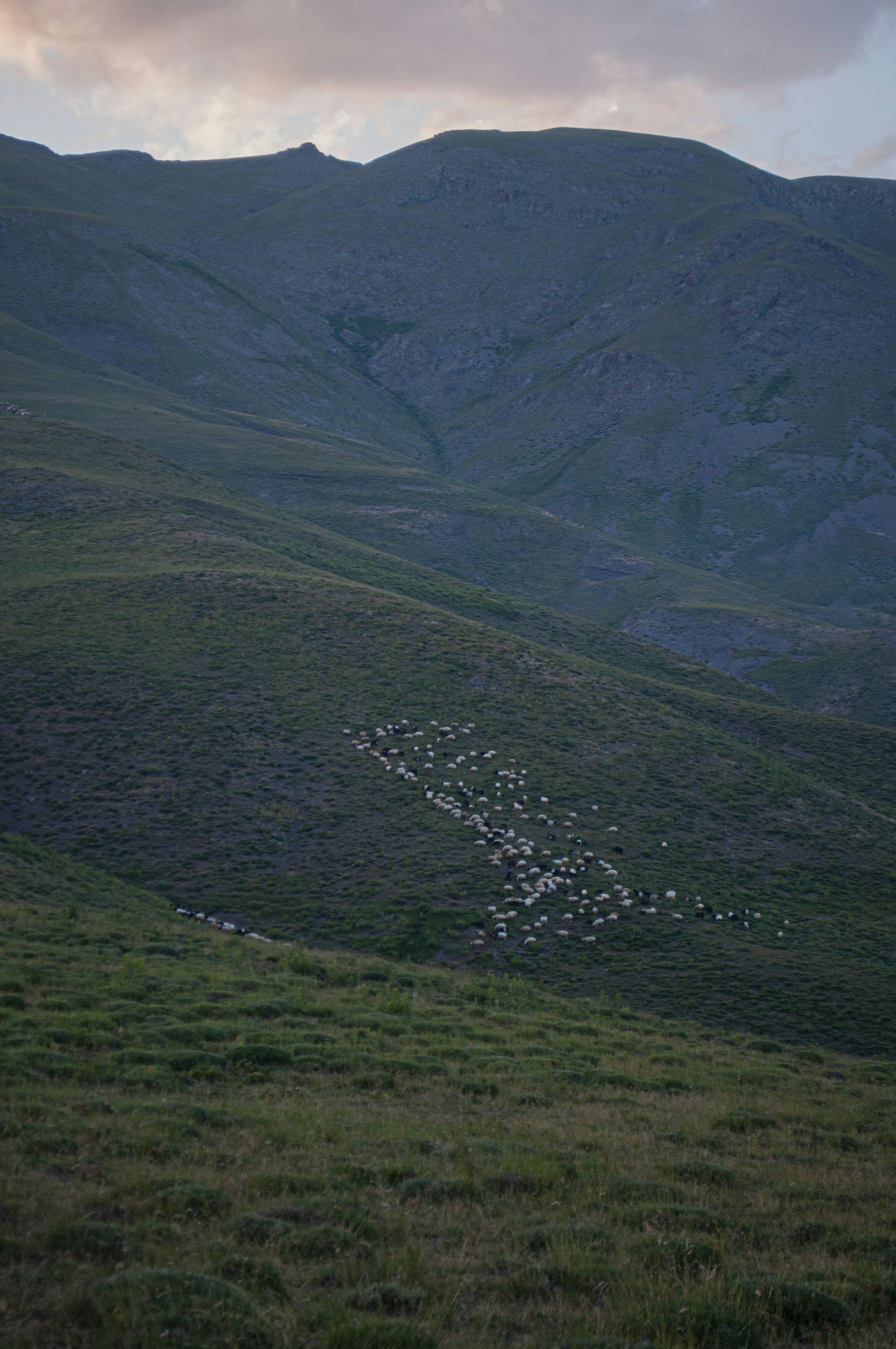 Photo by amirbagh3ri