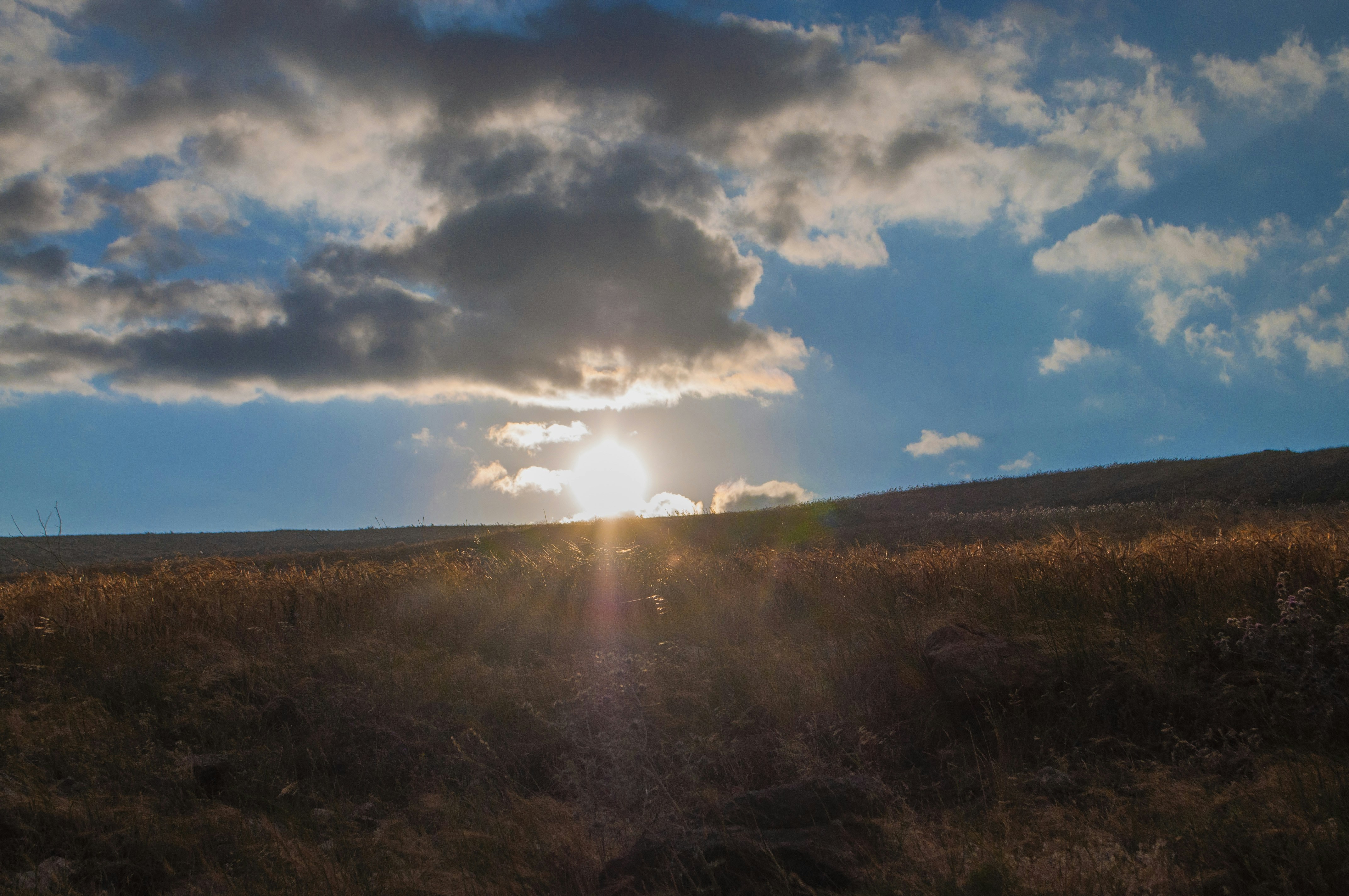 Photo by amirbagh3ri