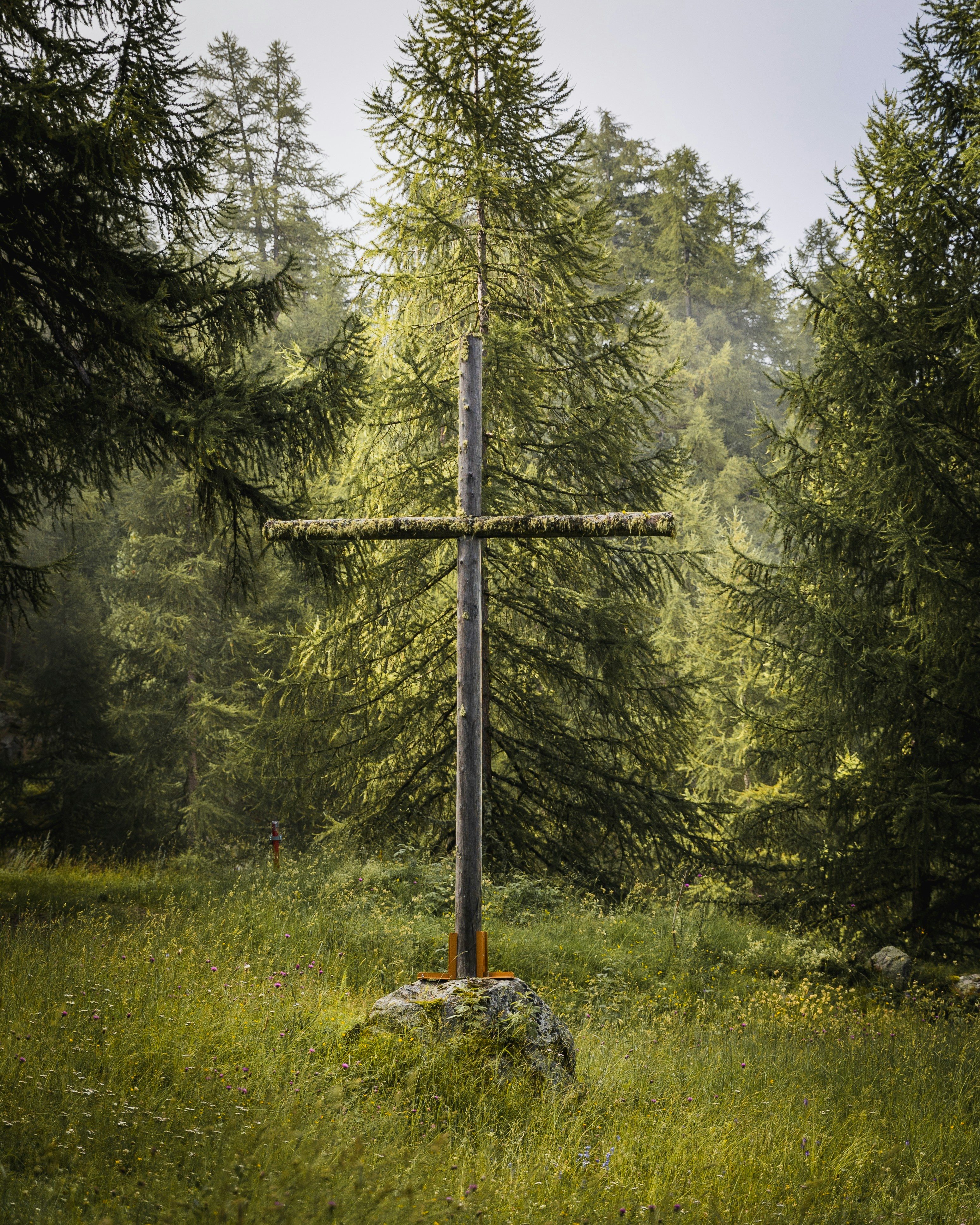 A cross in the middle of a forest