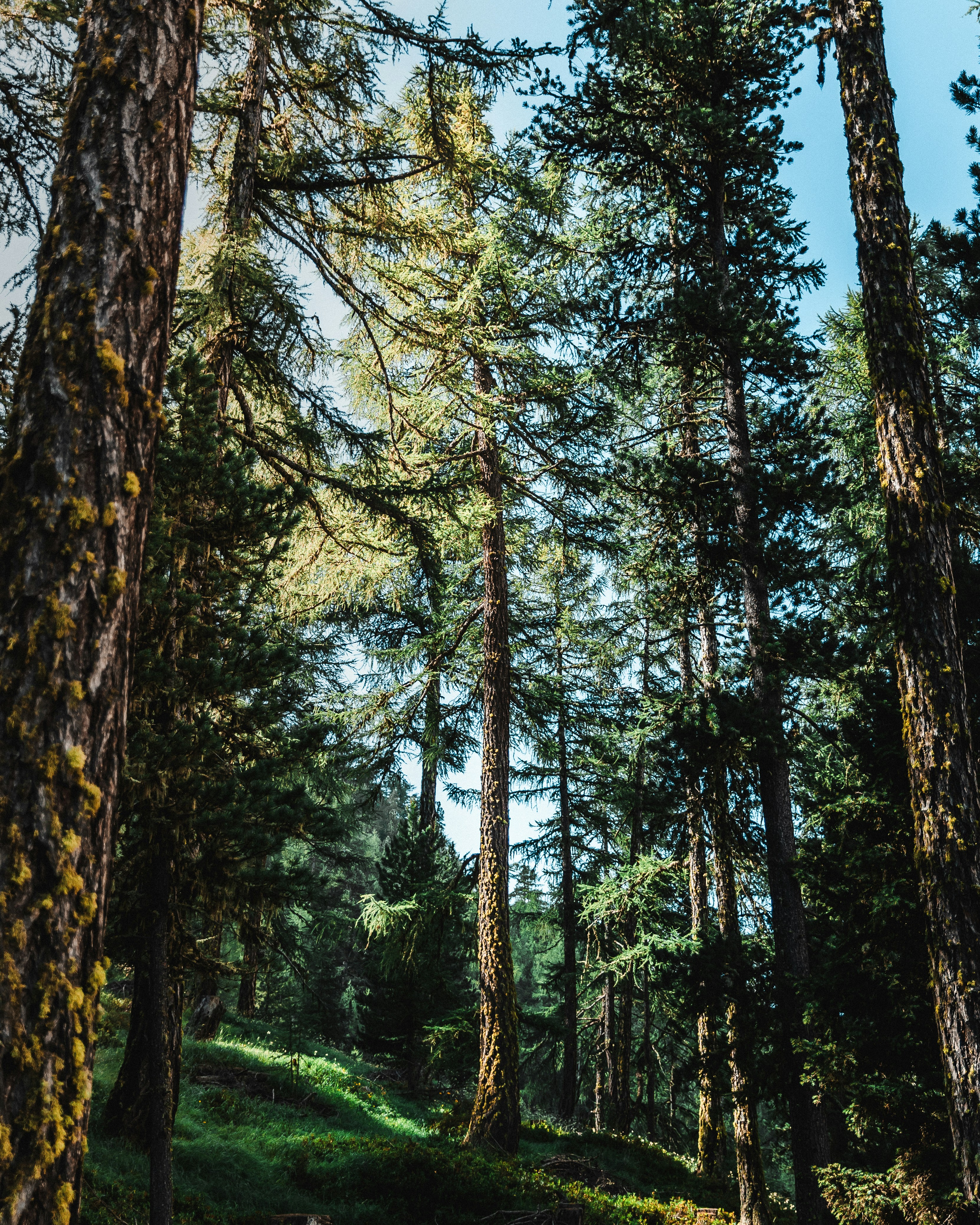 Photo by kevinoetiker