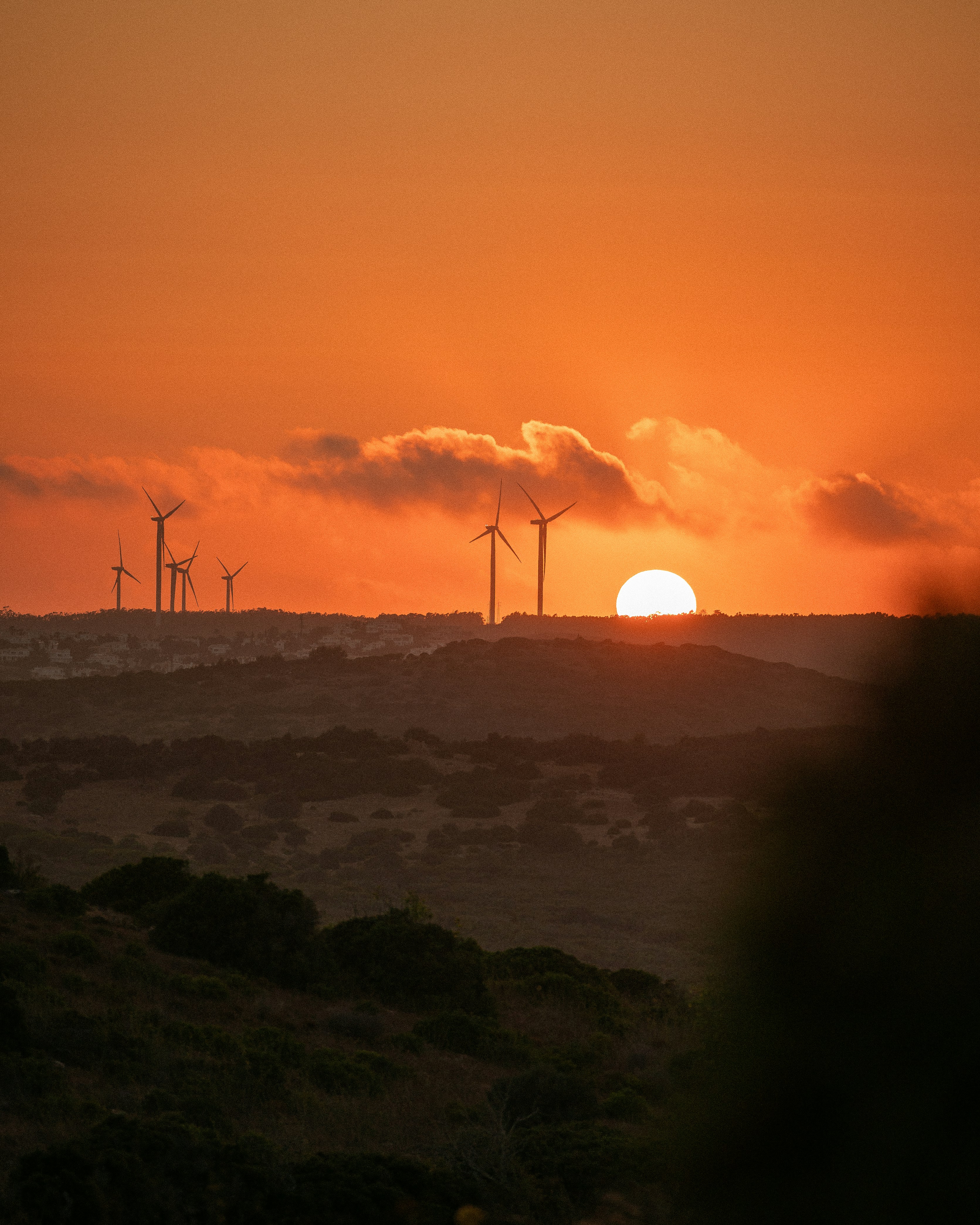 The sun is setting over a field of wind mills