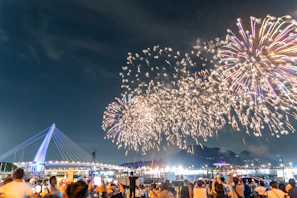 A large group of people watching fireworks in the sky