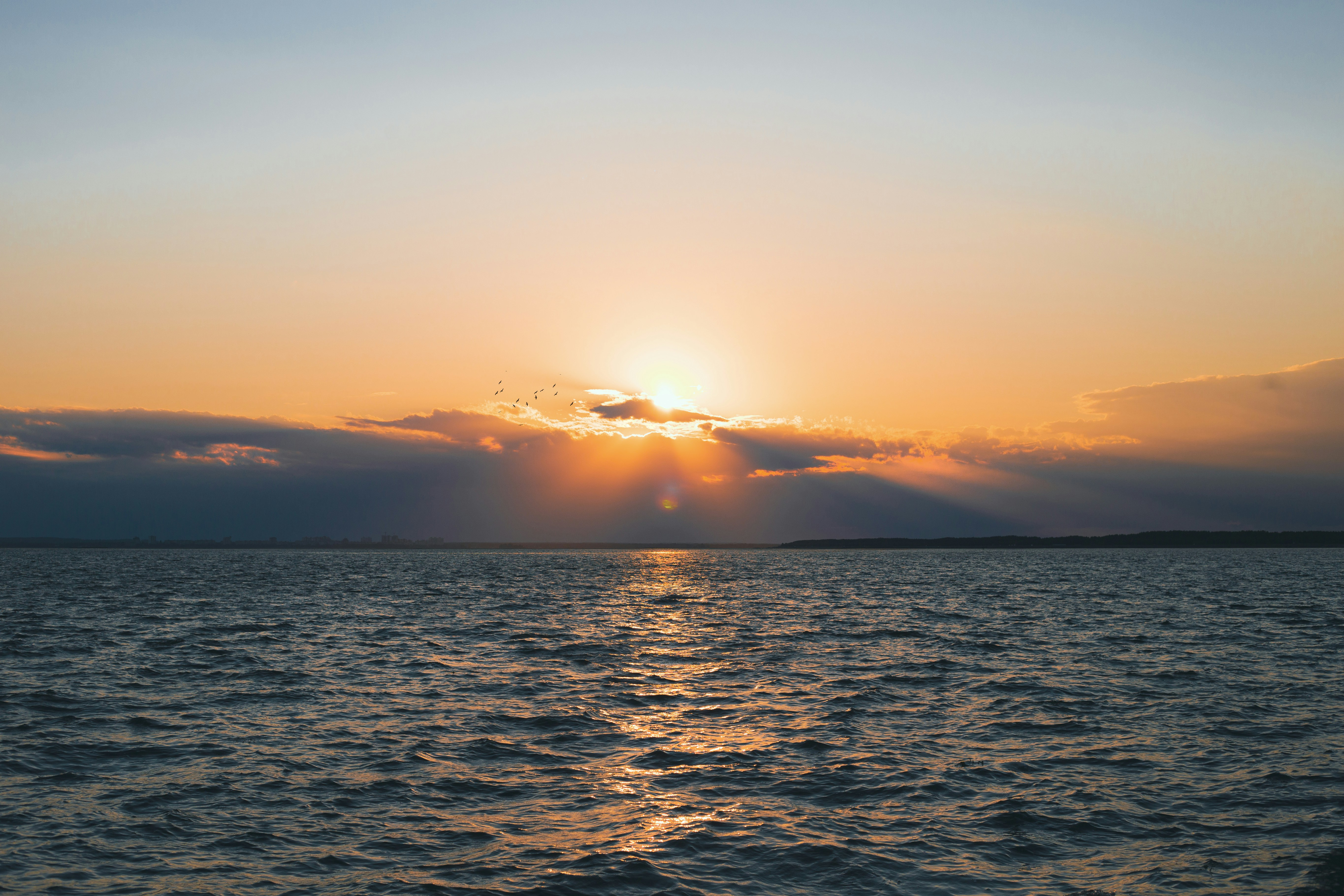 Photo by theprototype