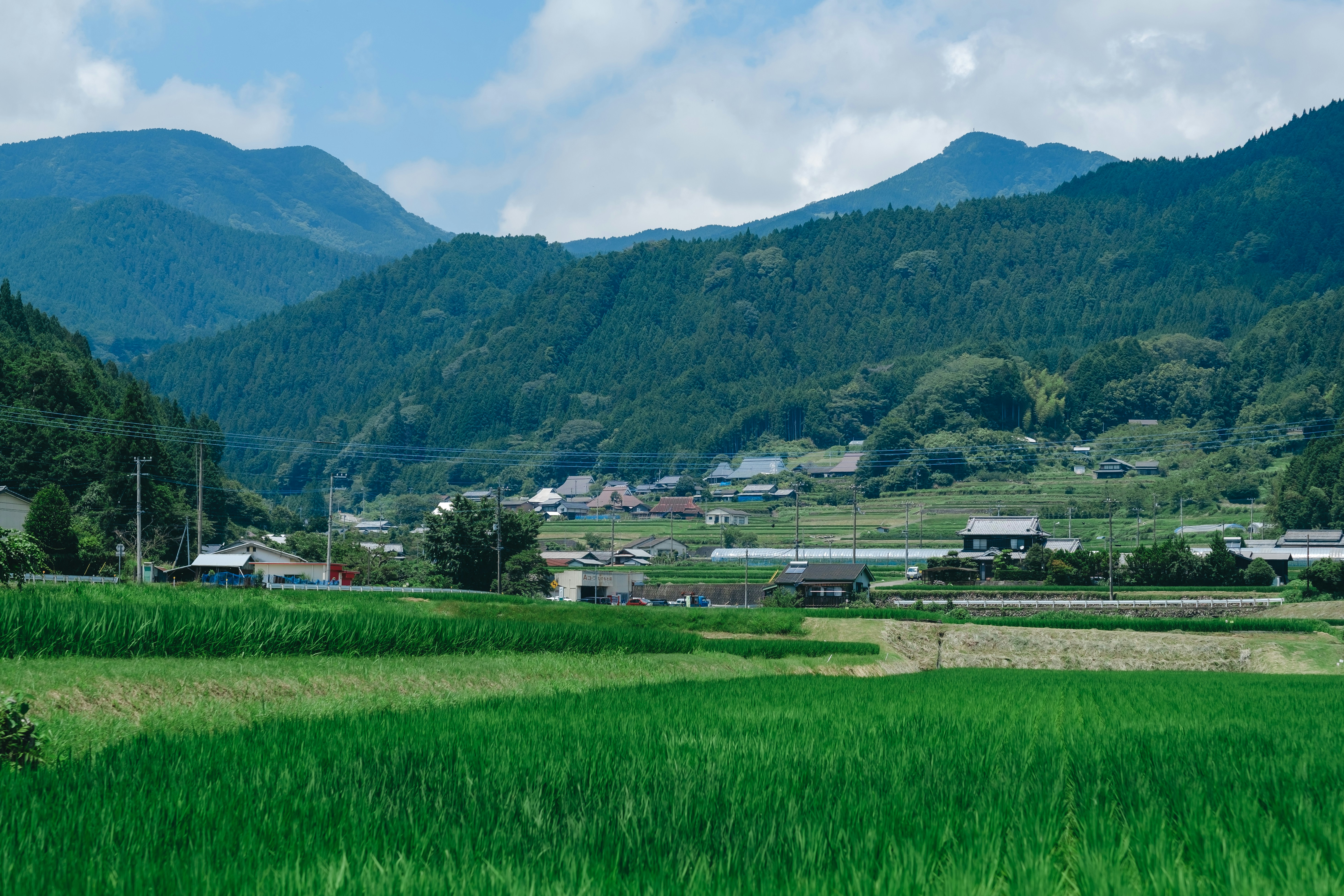 Photo by deltafilm12_