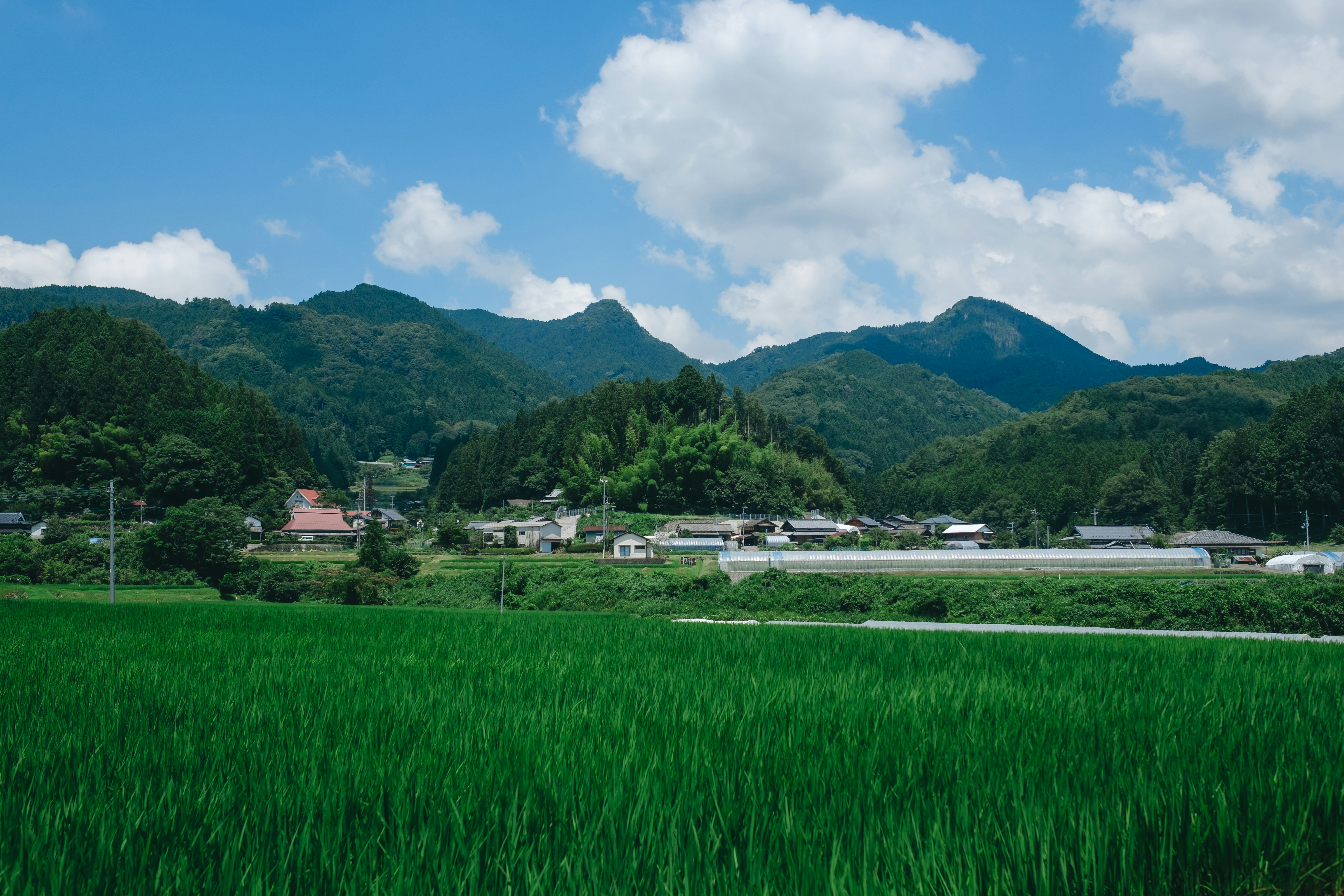 Photo by deltafilm12_