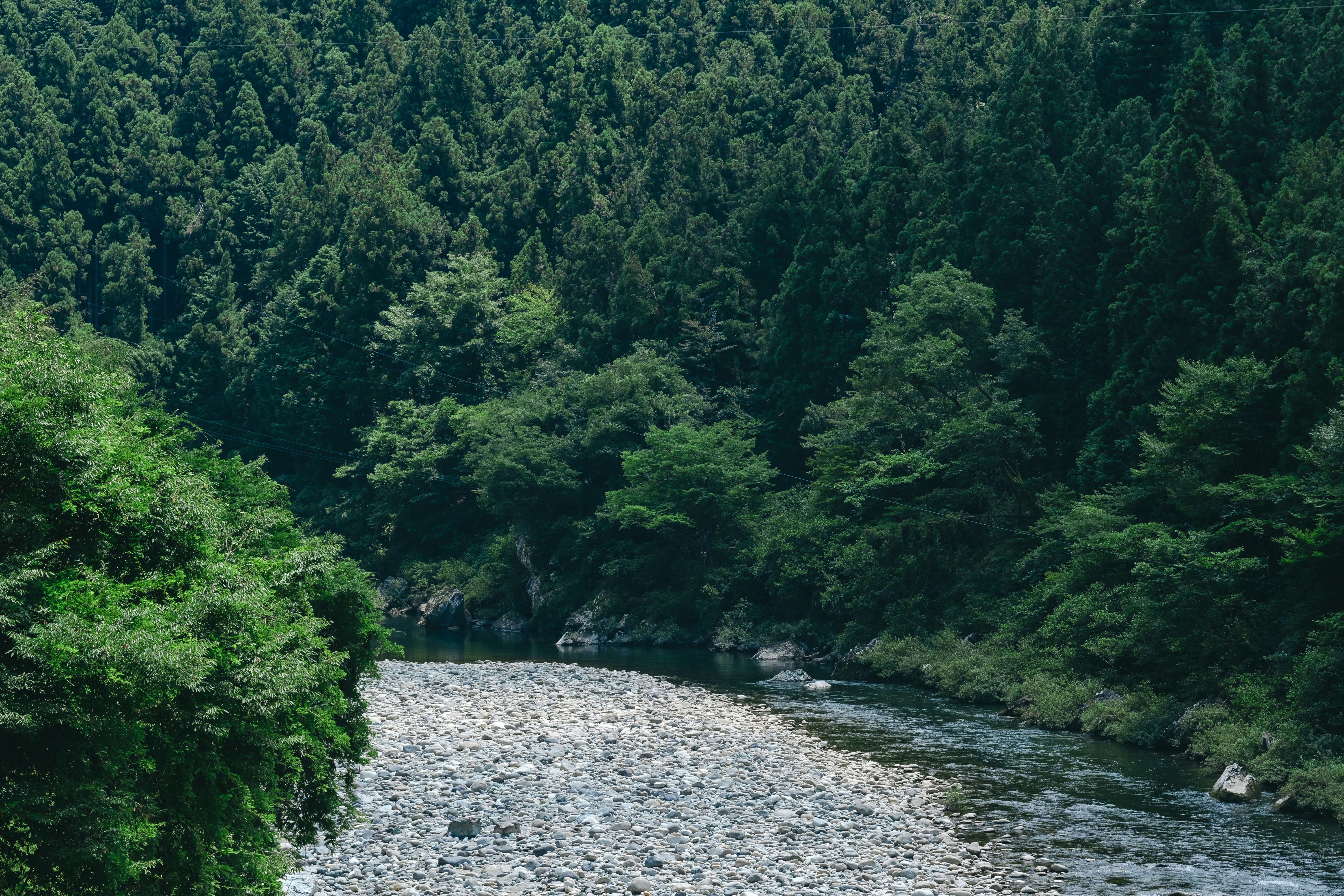 Photo by deltafilm12_