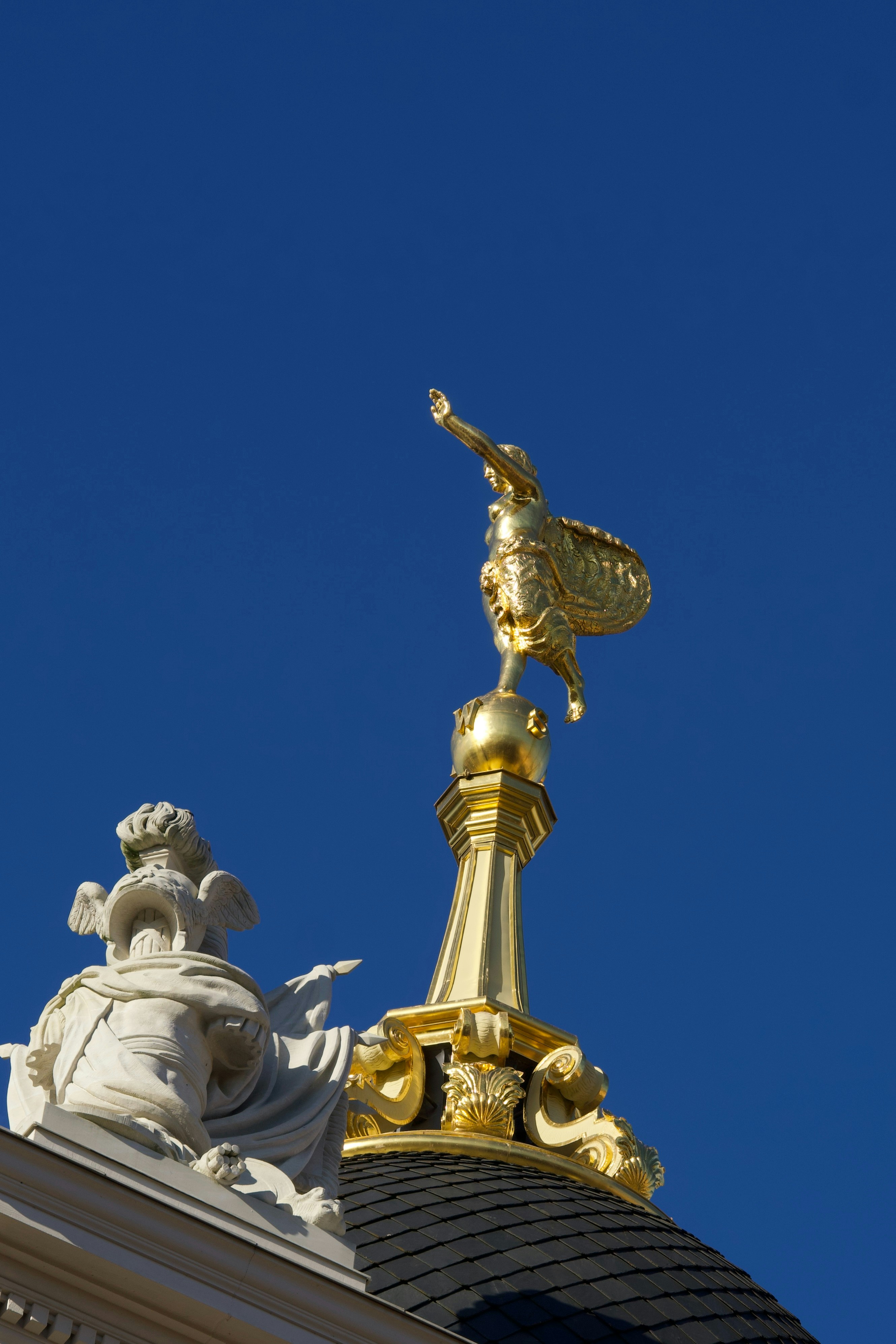 Photo by quang_quang