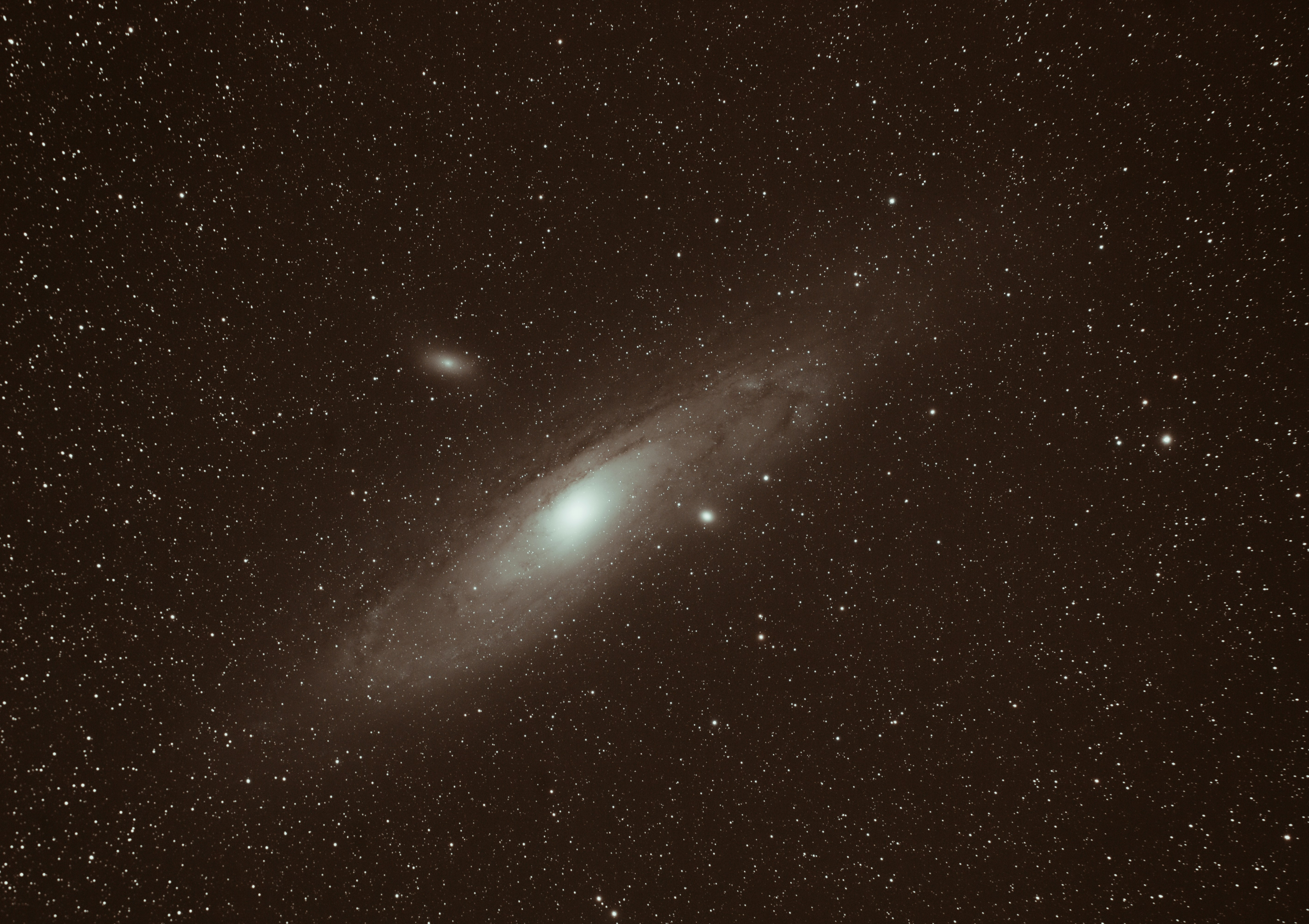 건강 의료 보험 비율은 어떻게 바뀌었나요?