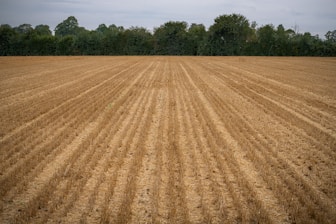 Agrinile Field Crops