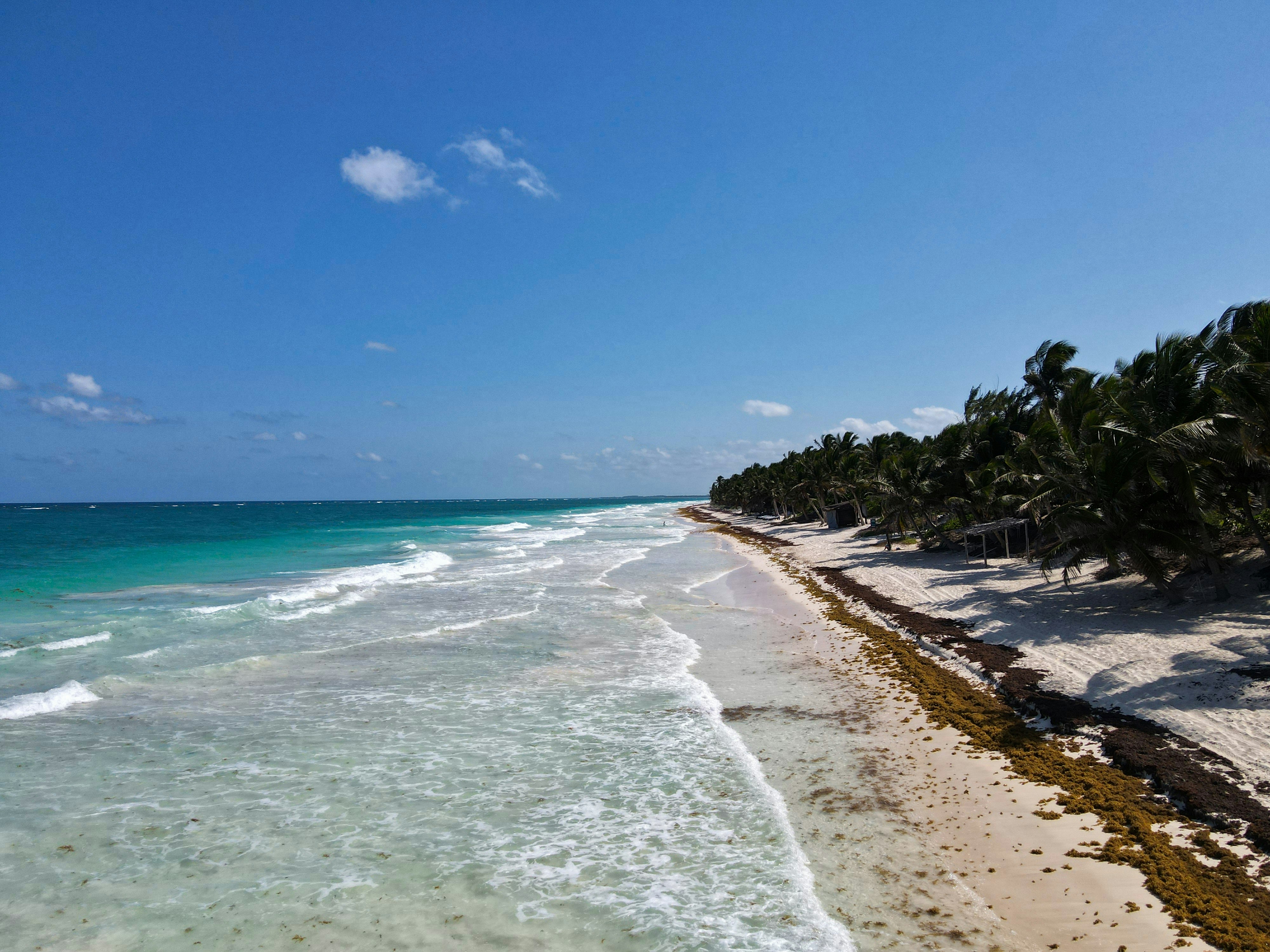 A sandy beach with palm trees and clear water, Drone shot taken at the Tulum Beach, Quintana Roo, Mexico. Shot with a DJI Mavic Air 2.