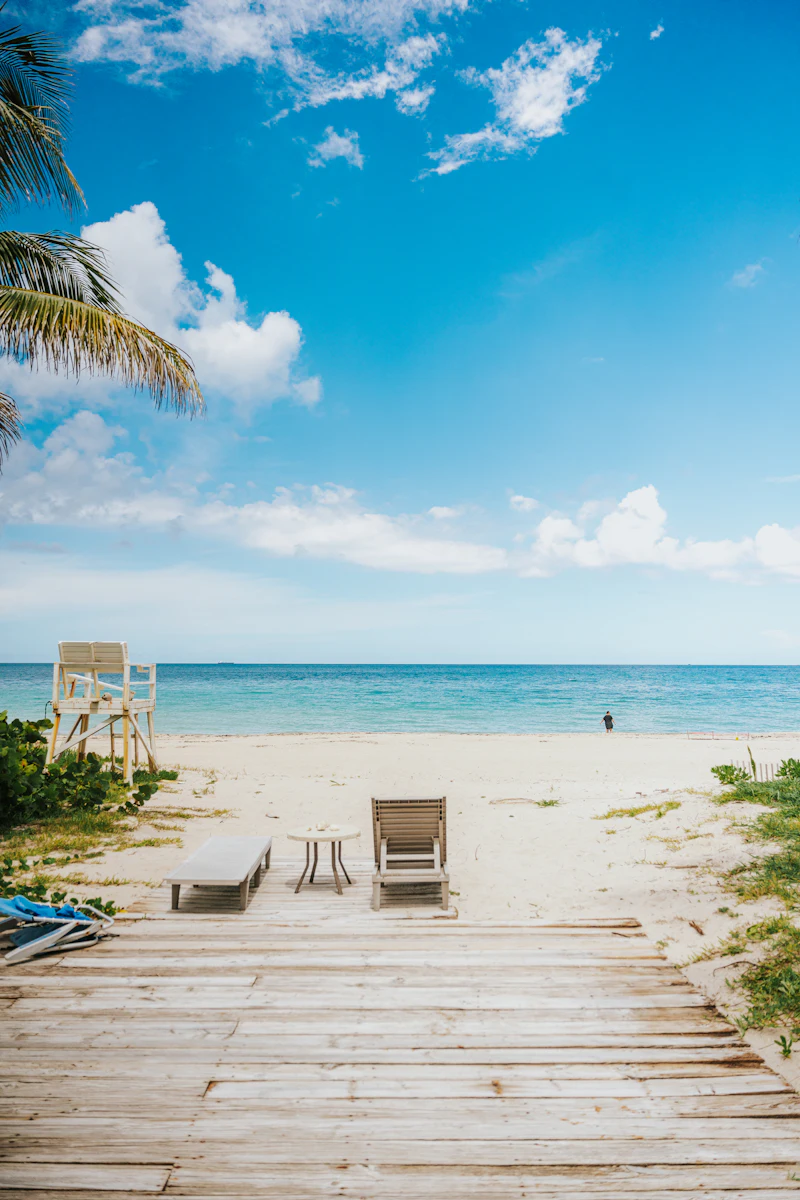 Sunny beach with lifeguard stand and palm trees