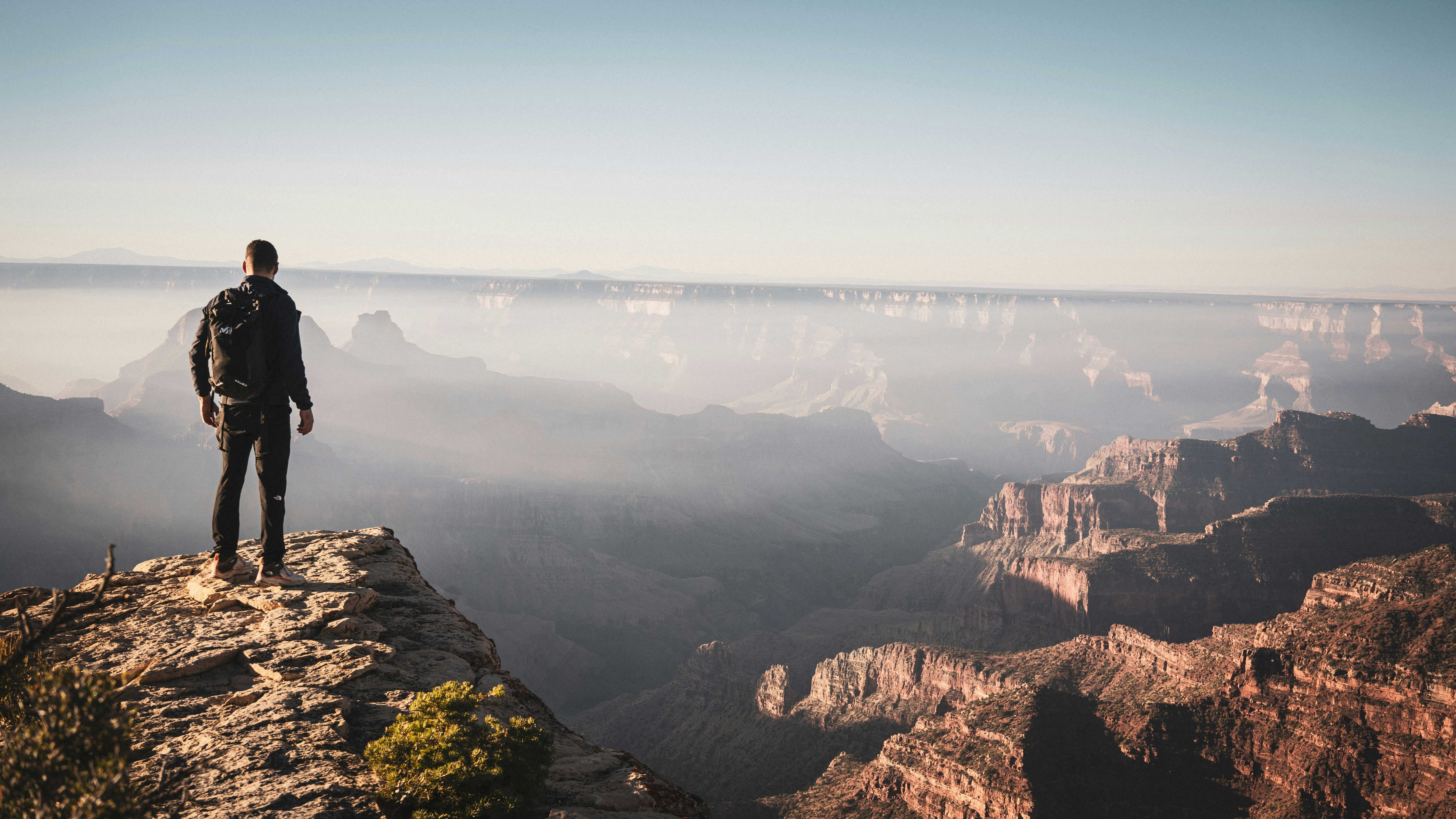 Photo by thejosetree