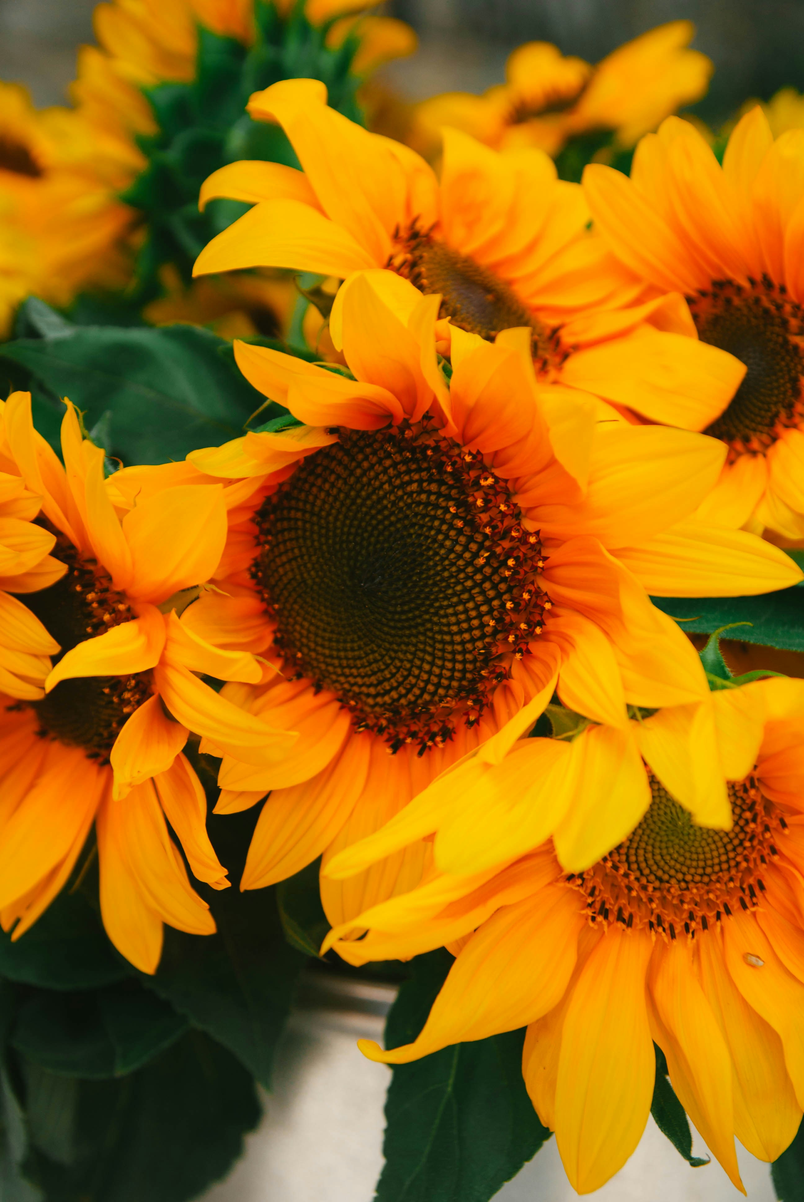 Photo by moonmoons_days