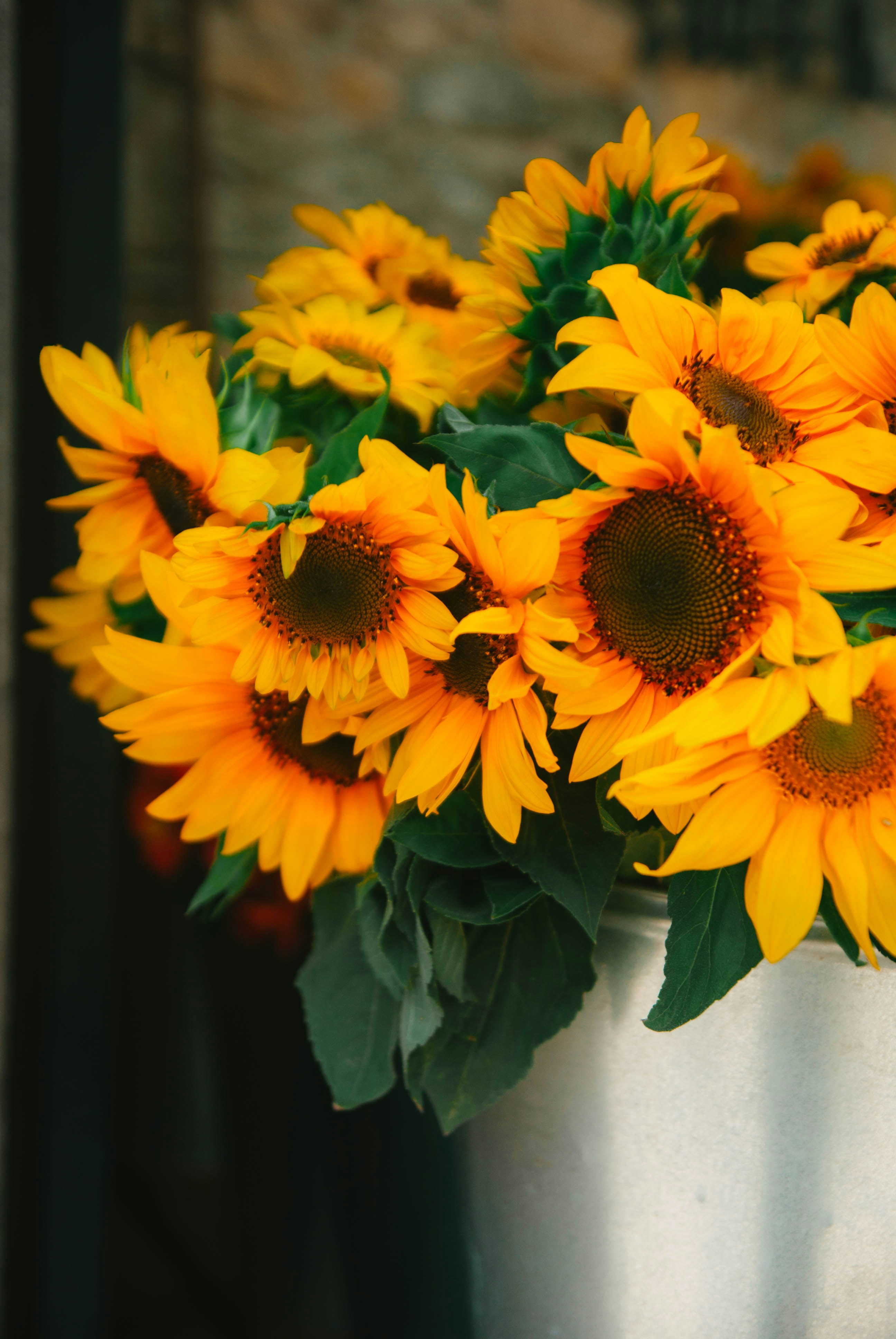 Photo by moonmoons_days