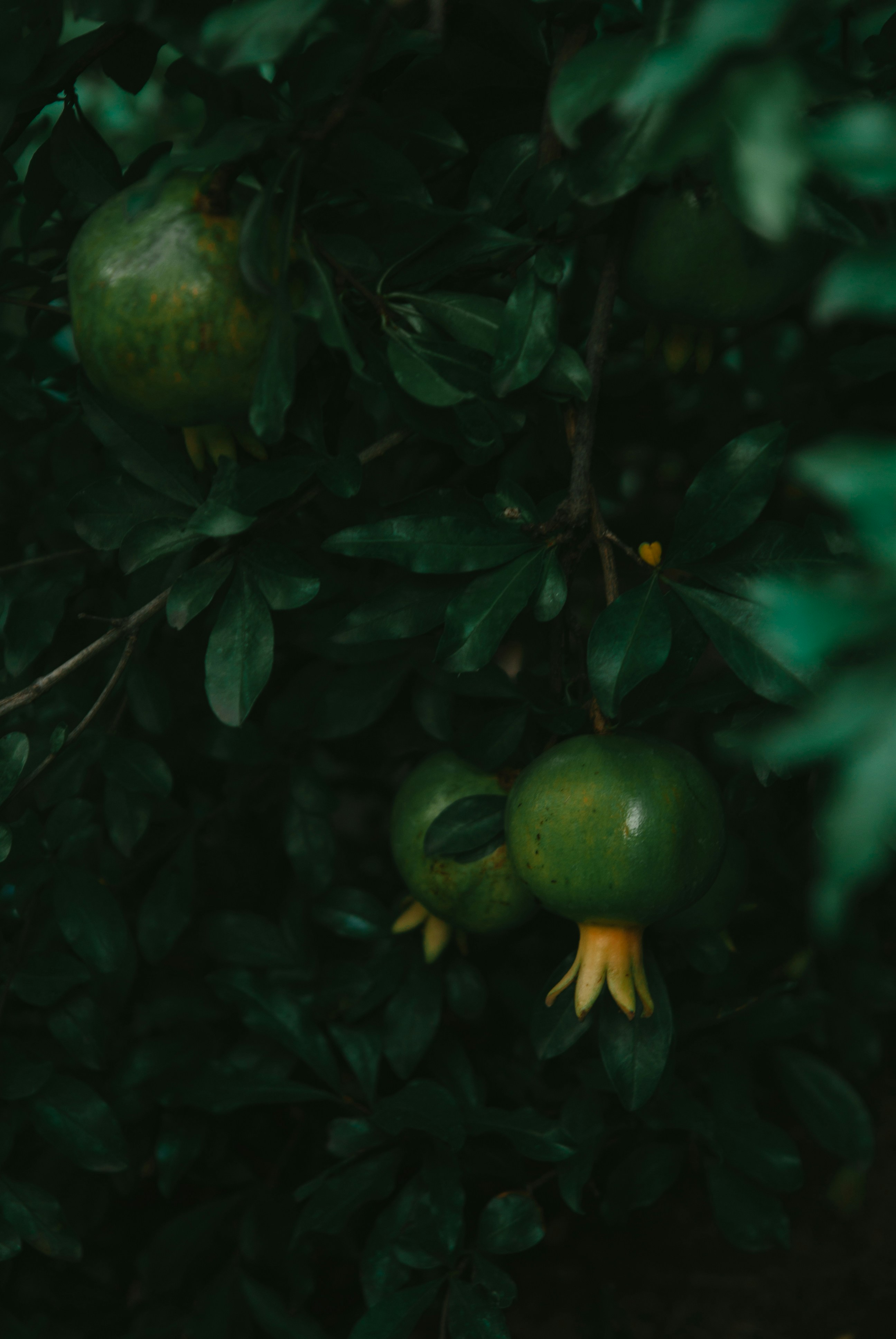 Photo by moonmoons_days