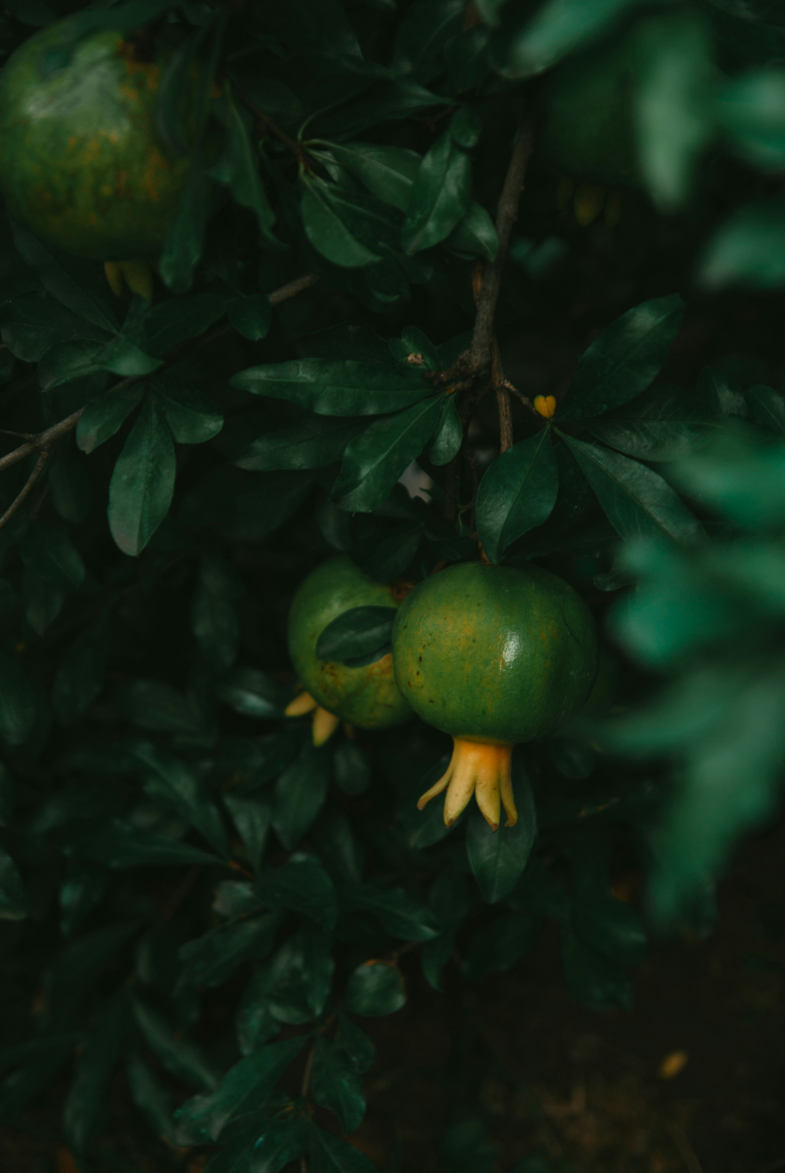 Photo by moonmoons_days