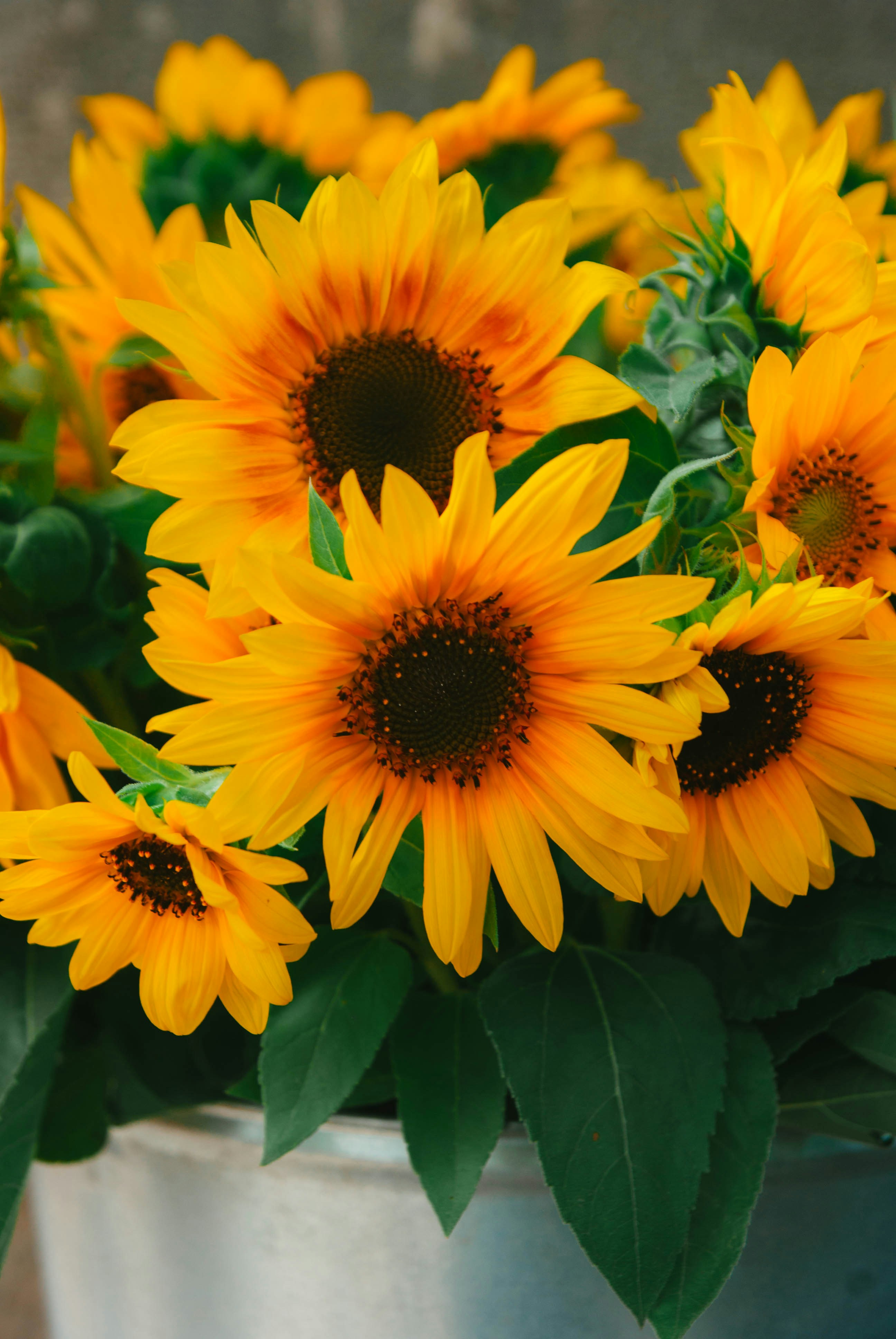 Photo by moonmoons_days