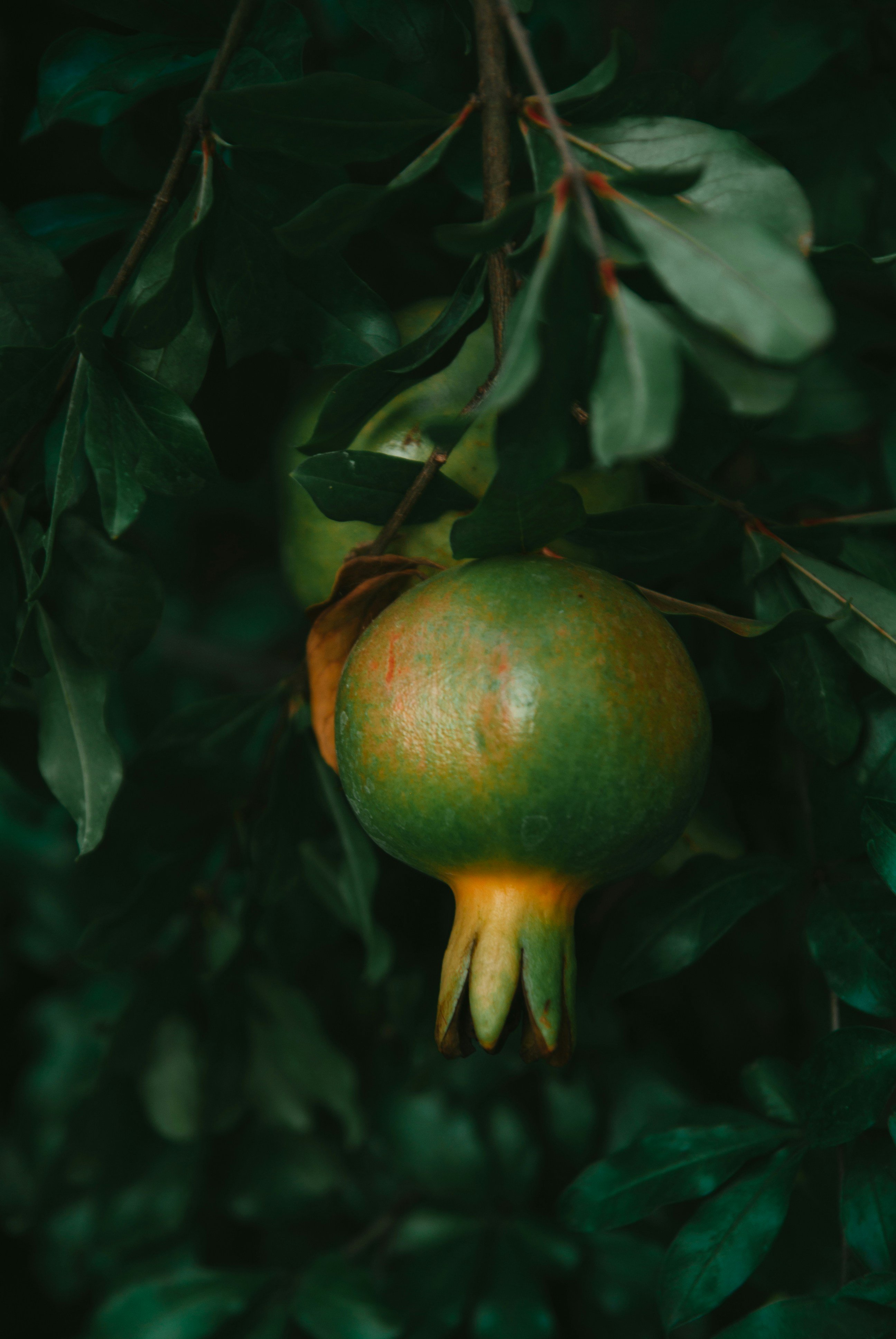 Photo by moonmoons_days