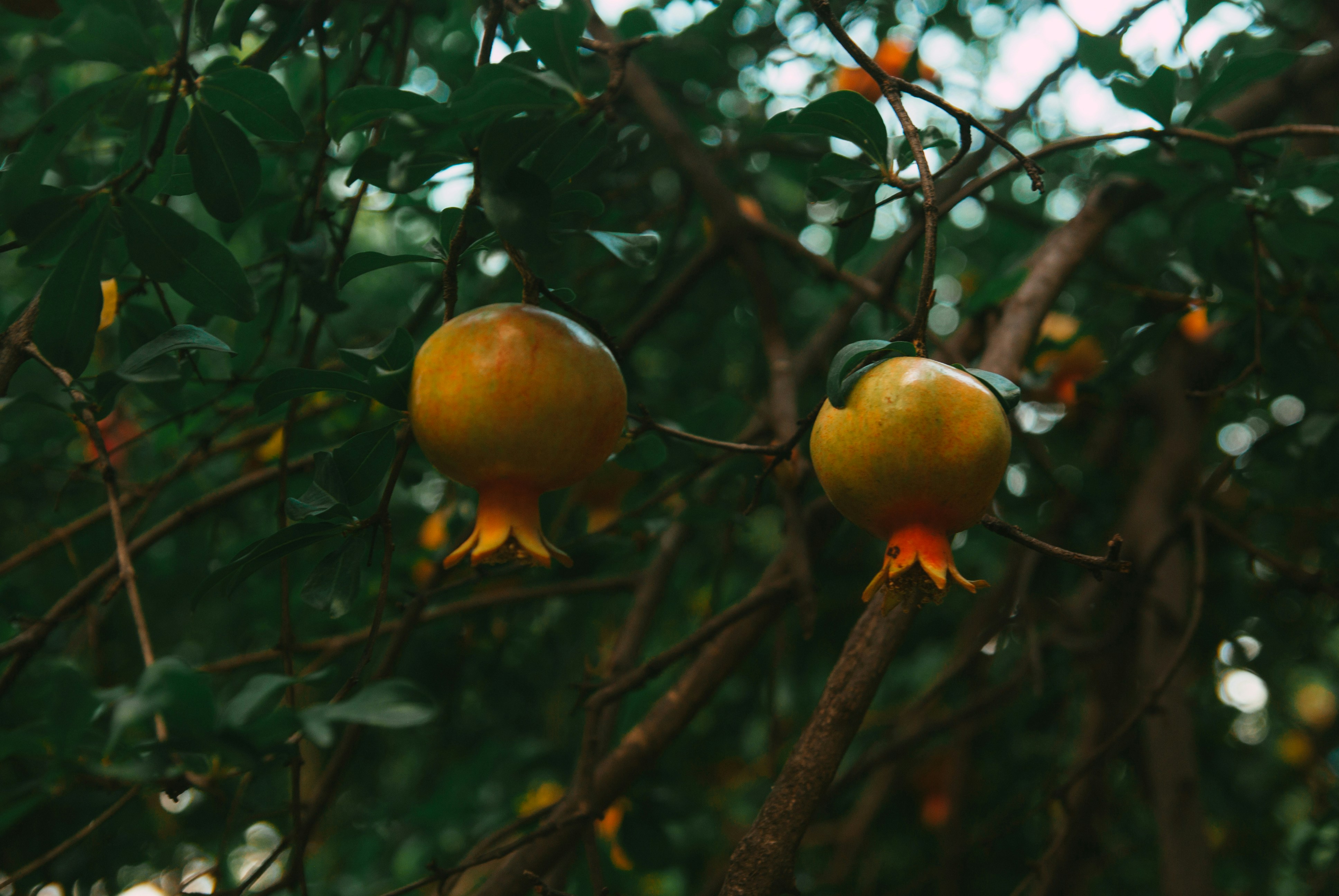 Photo by moonmoons_days