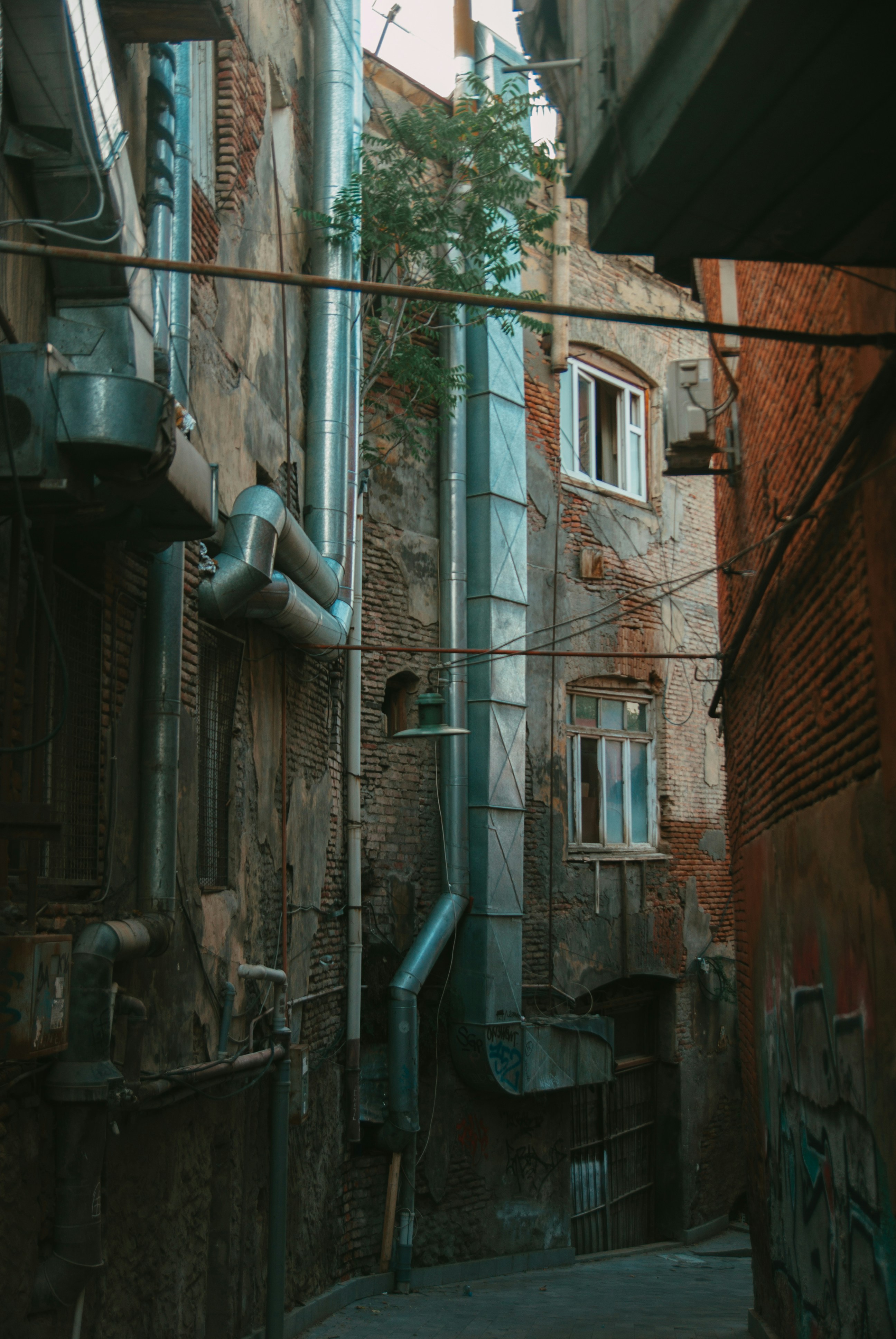 Photo by moonmoons_days