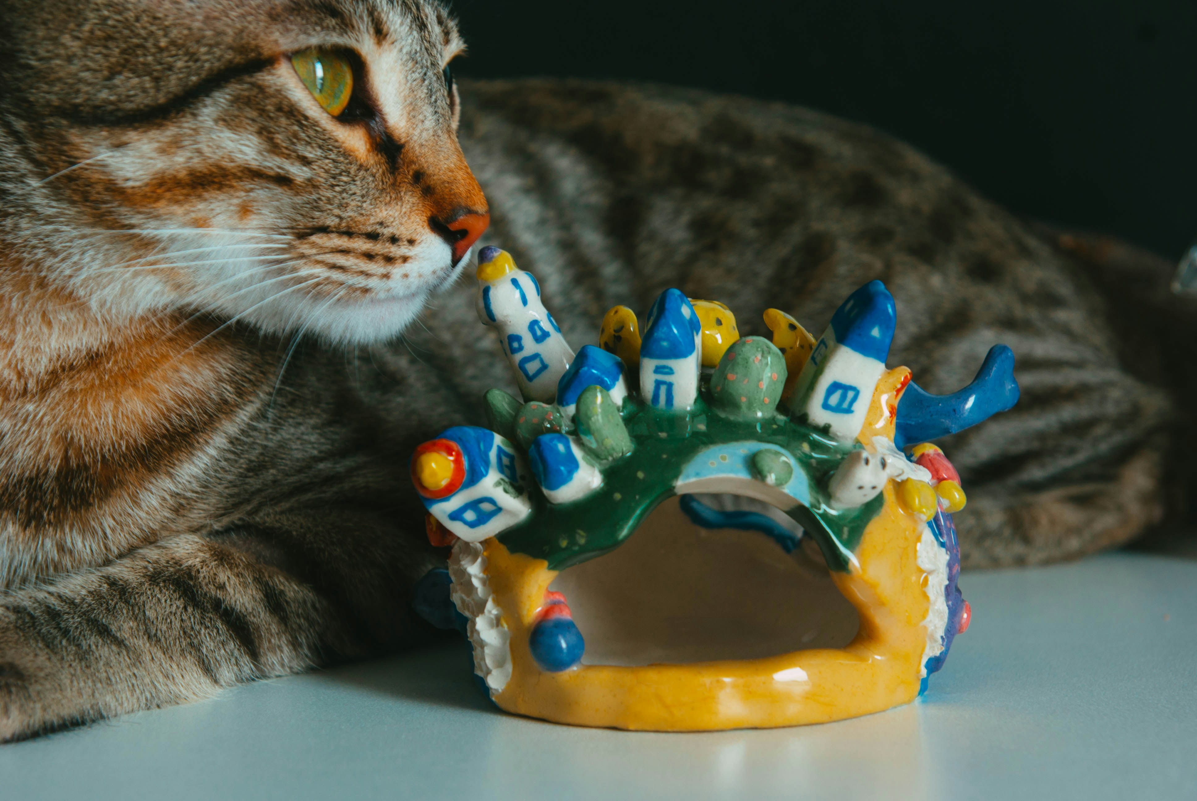 Un chat jouant avec un jouet sur une table