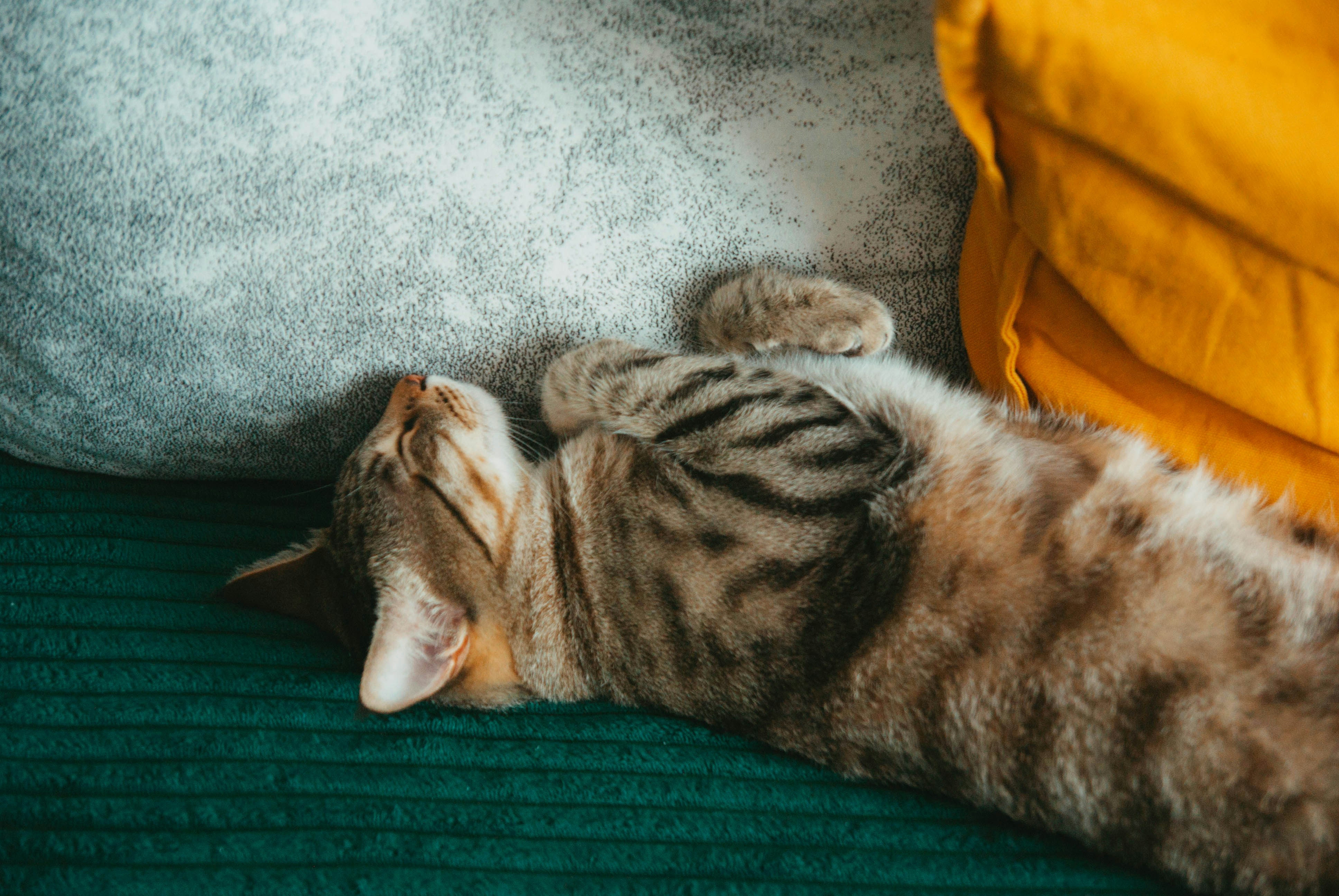 Photo by moonmoons_days