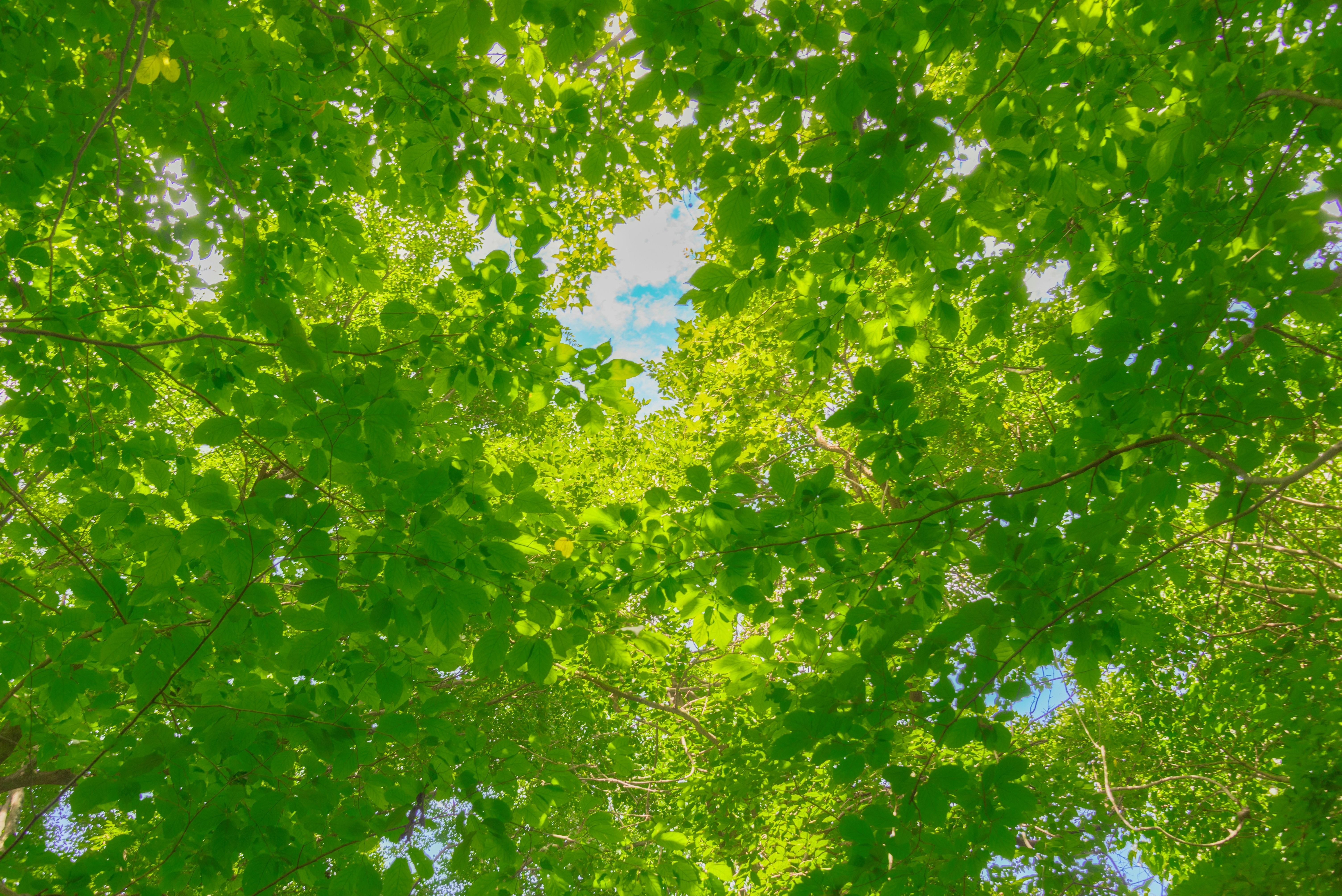 Photo by young1230li