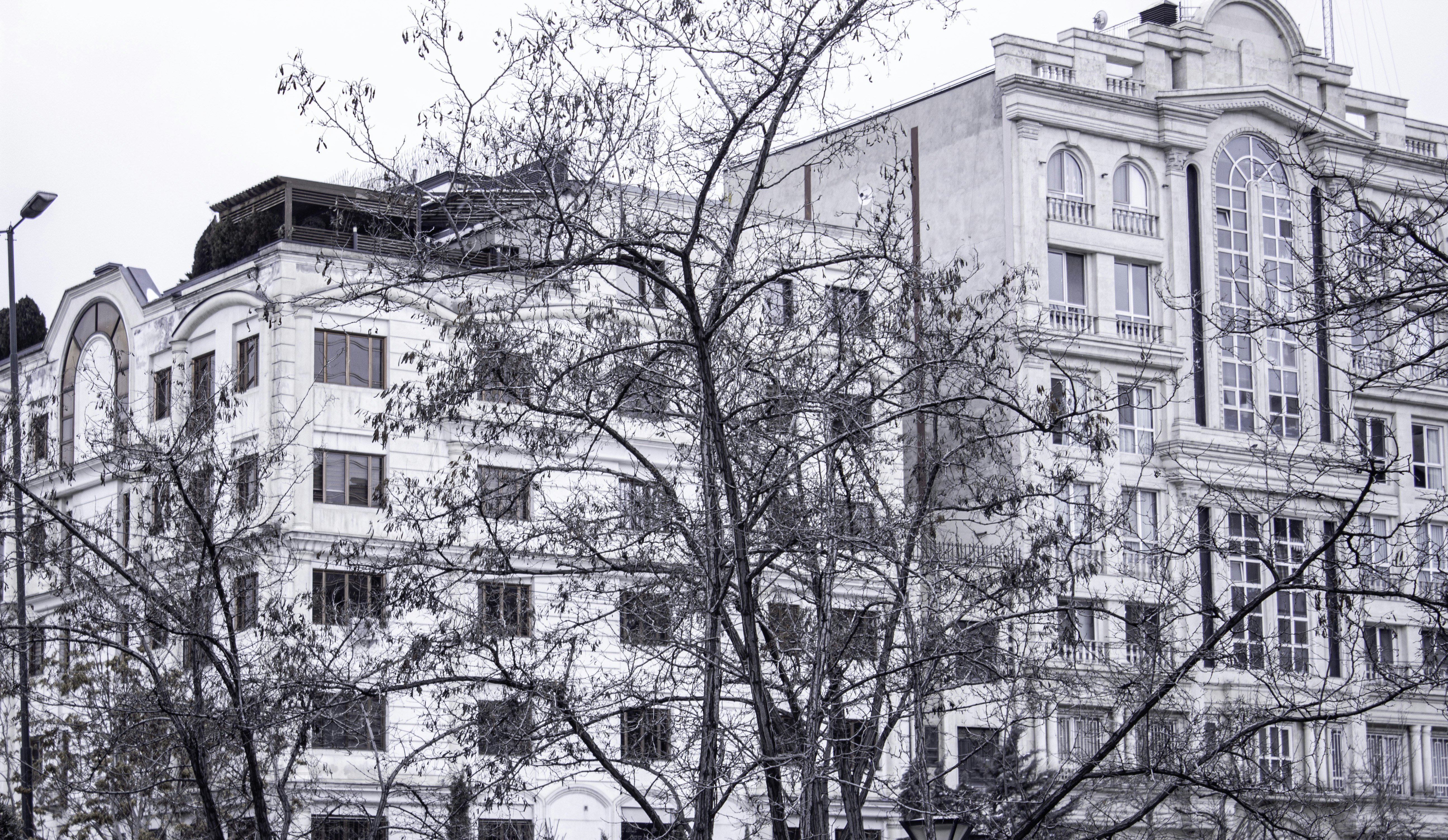 Photo by elham_frame