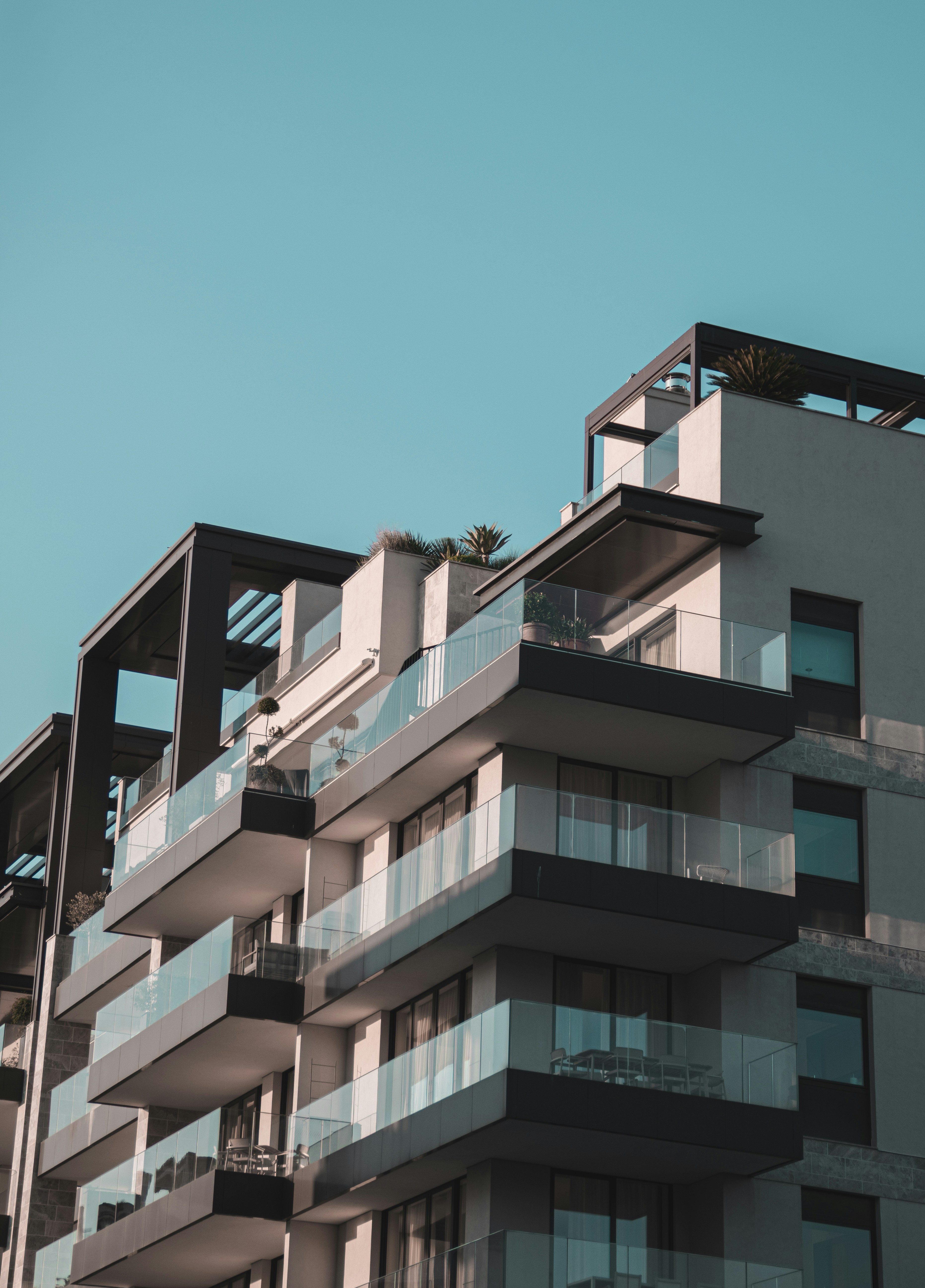 Photo by filipragush