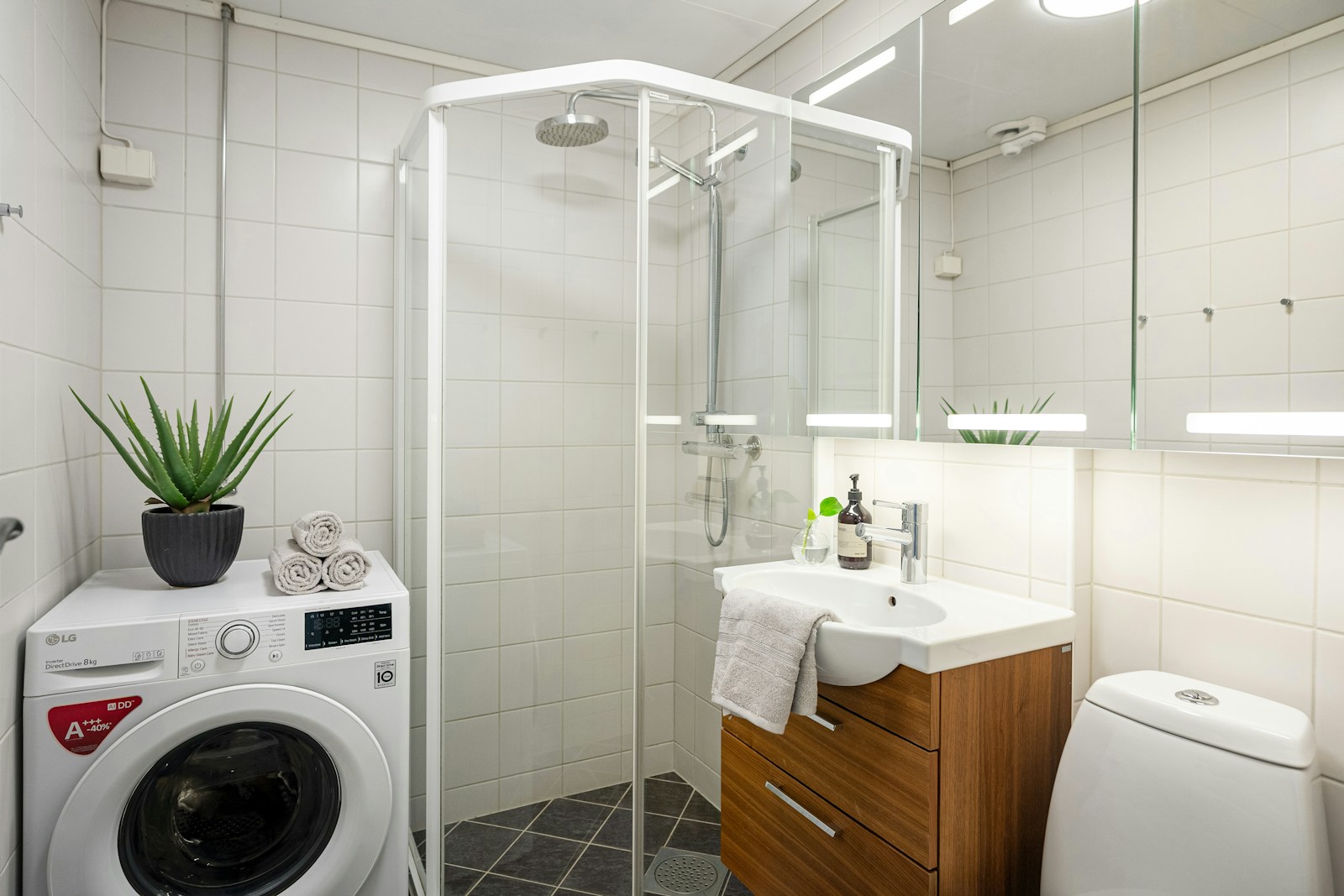 small apartment bathroom with aloe plant rolled towels and washer