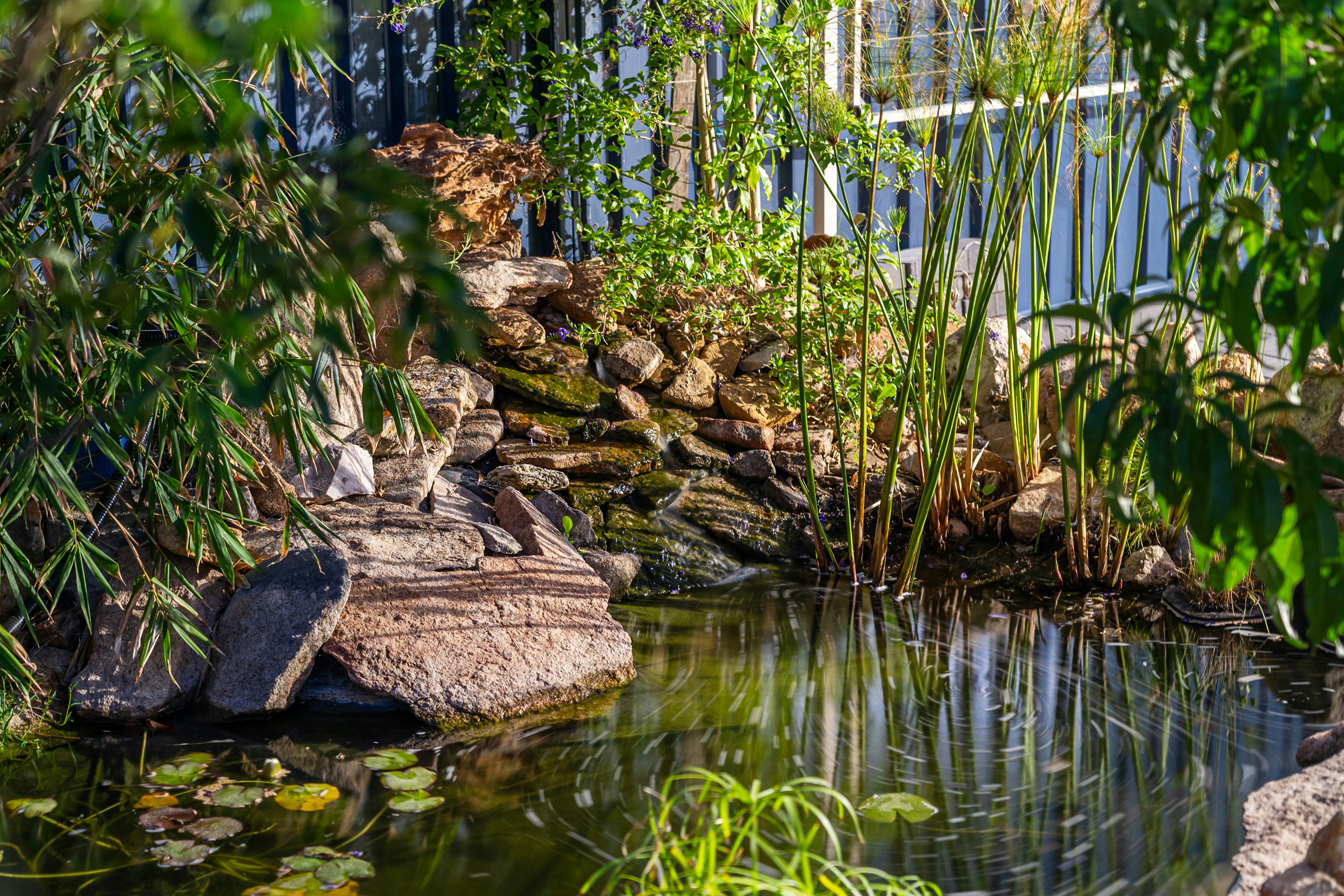 Photo by alextyson195