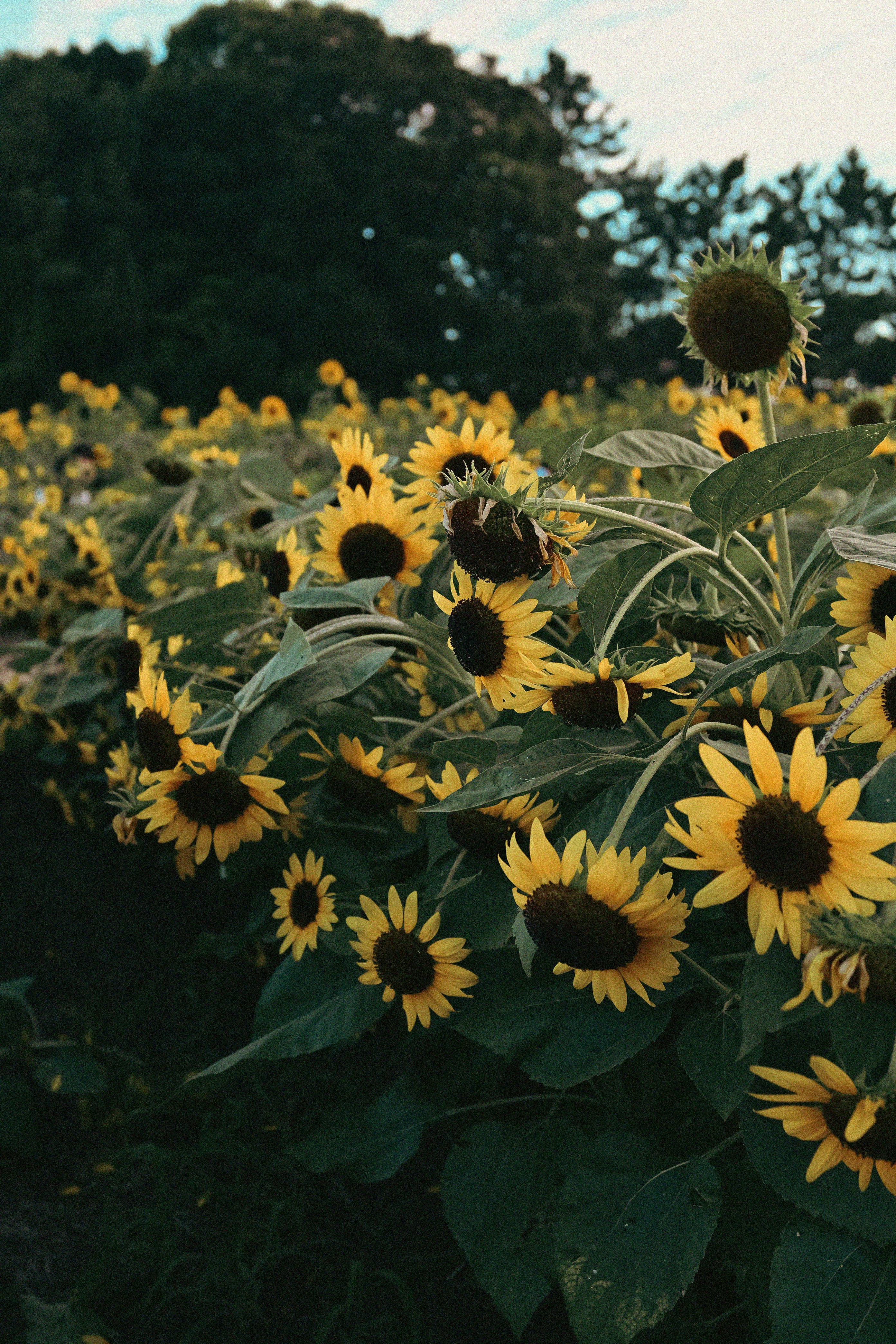 Photo by novel2199