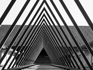 A black and white photo of a walkway