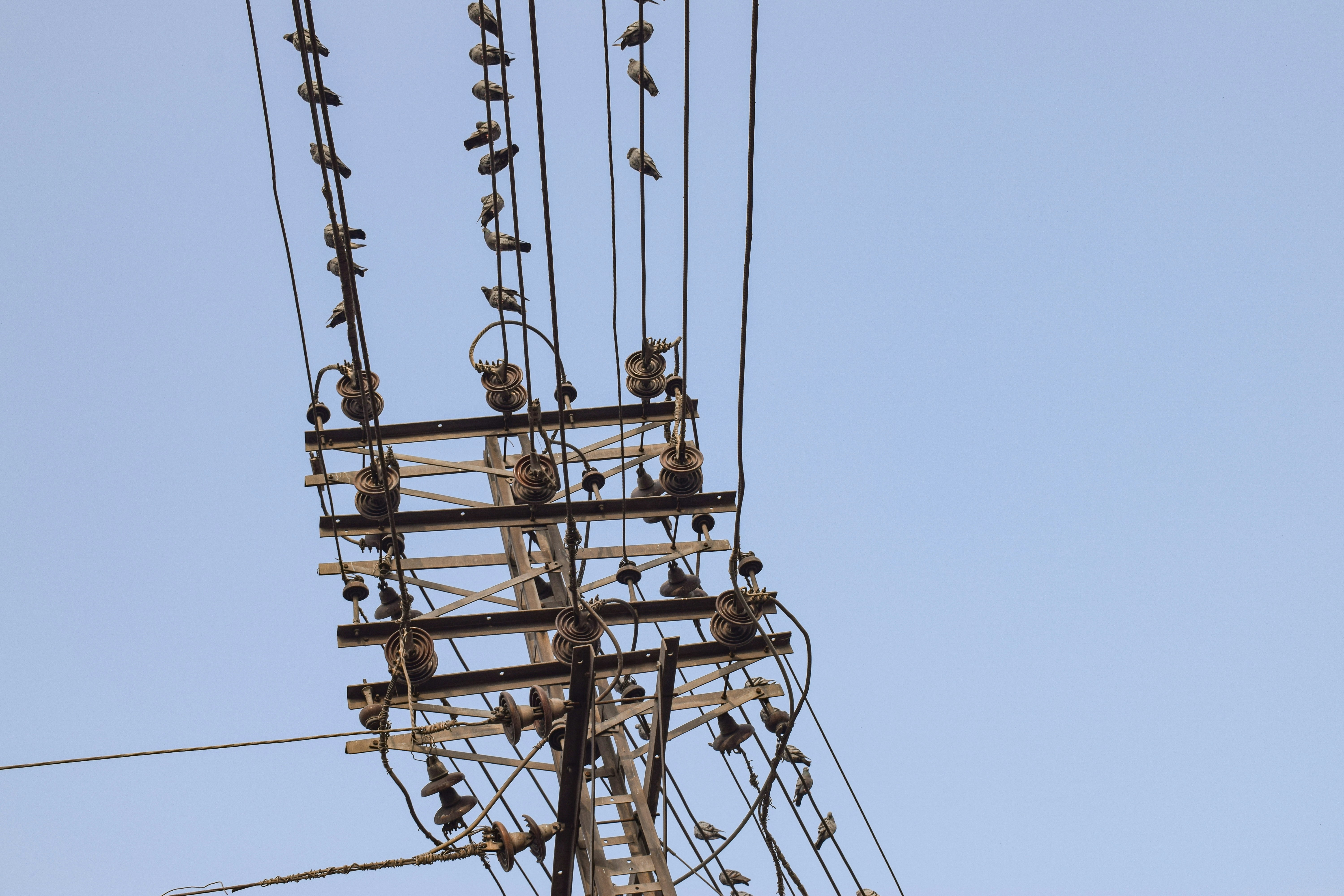 Photo by frame_focus