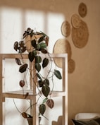 A potted plant sitting on top of a wooden shelf