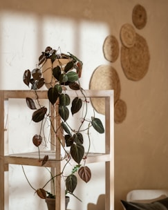 A potted plant sitting on top of a wooden shelf