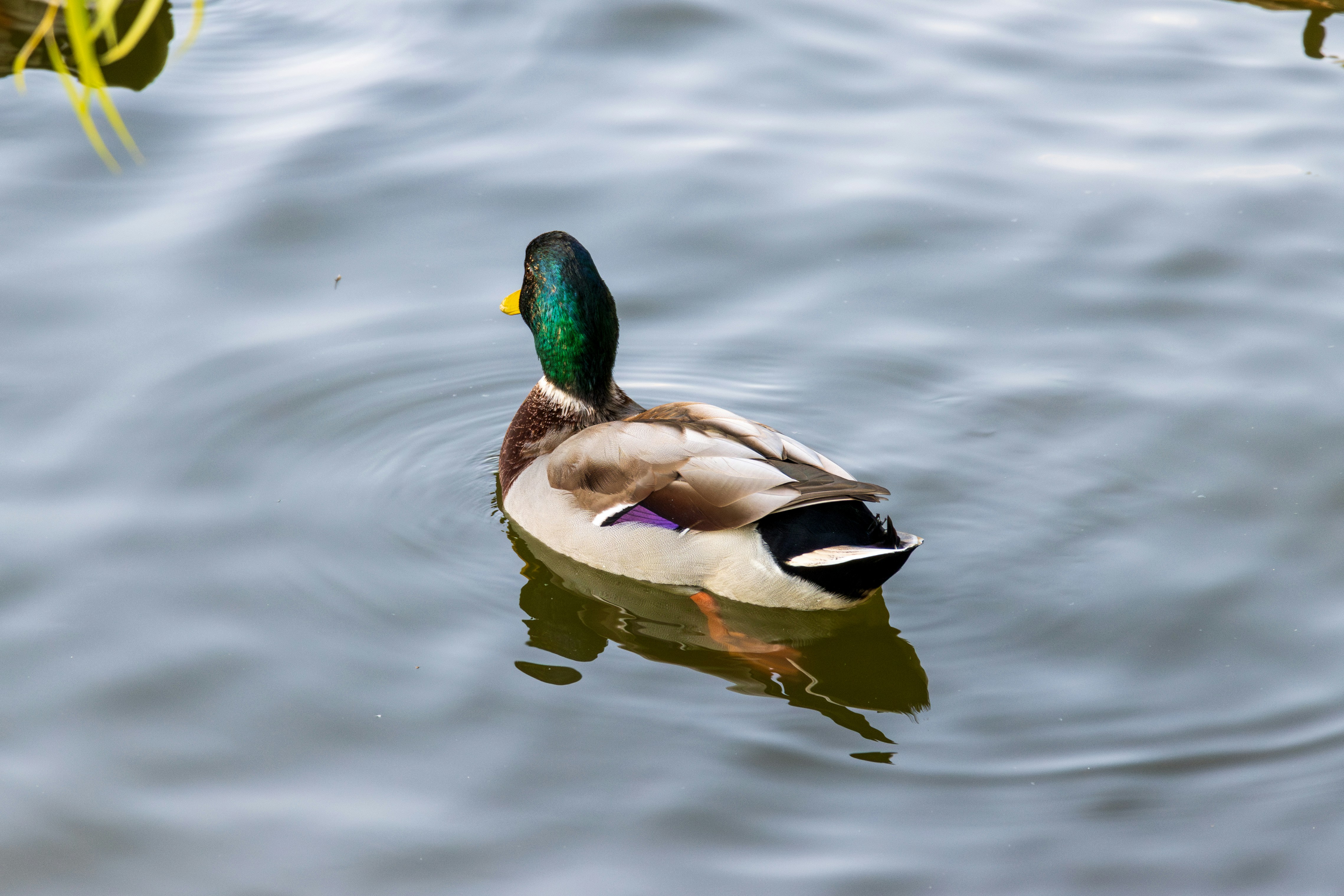 Photo by mechaowlstudios