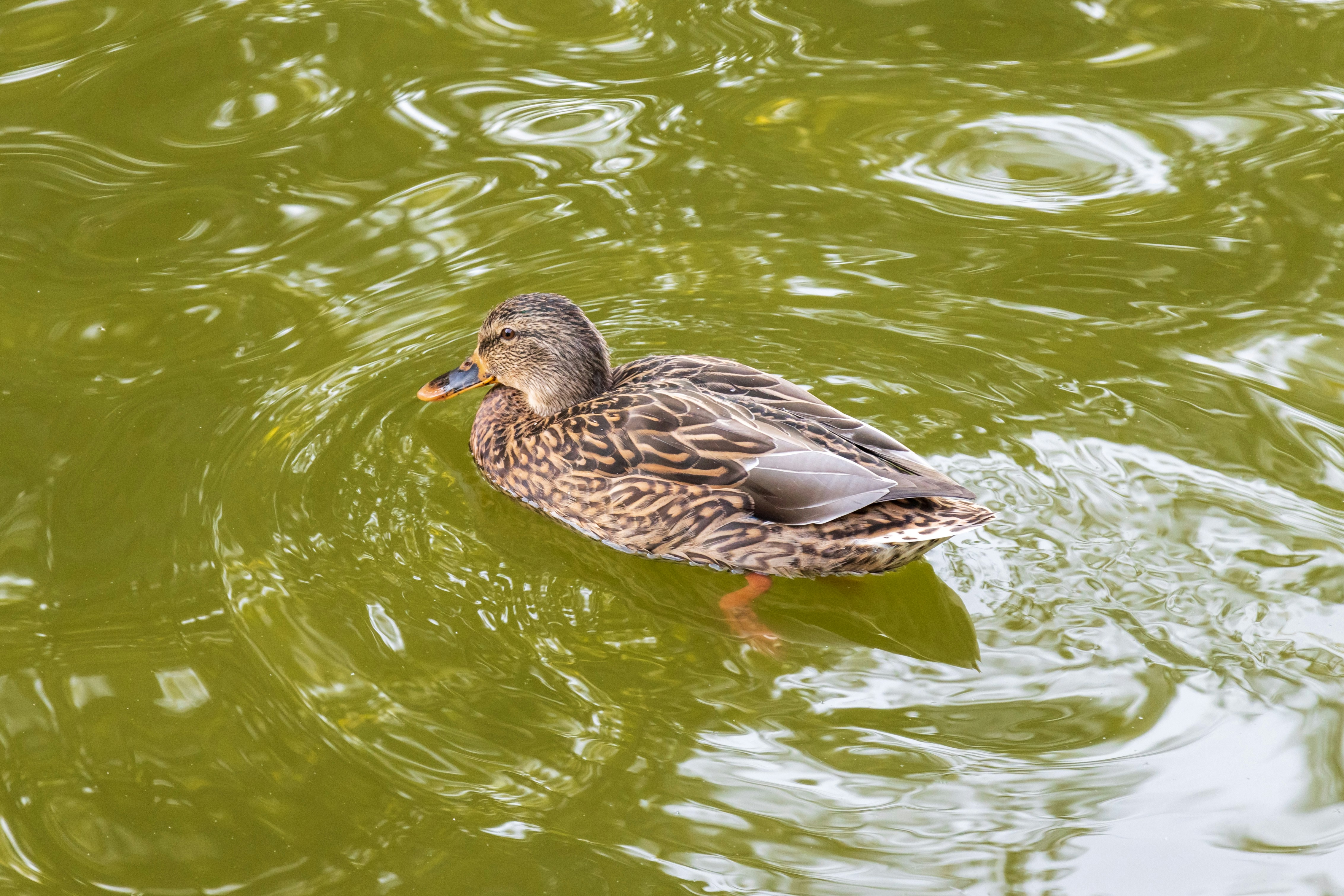 Photo by mechaowlstudios