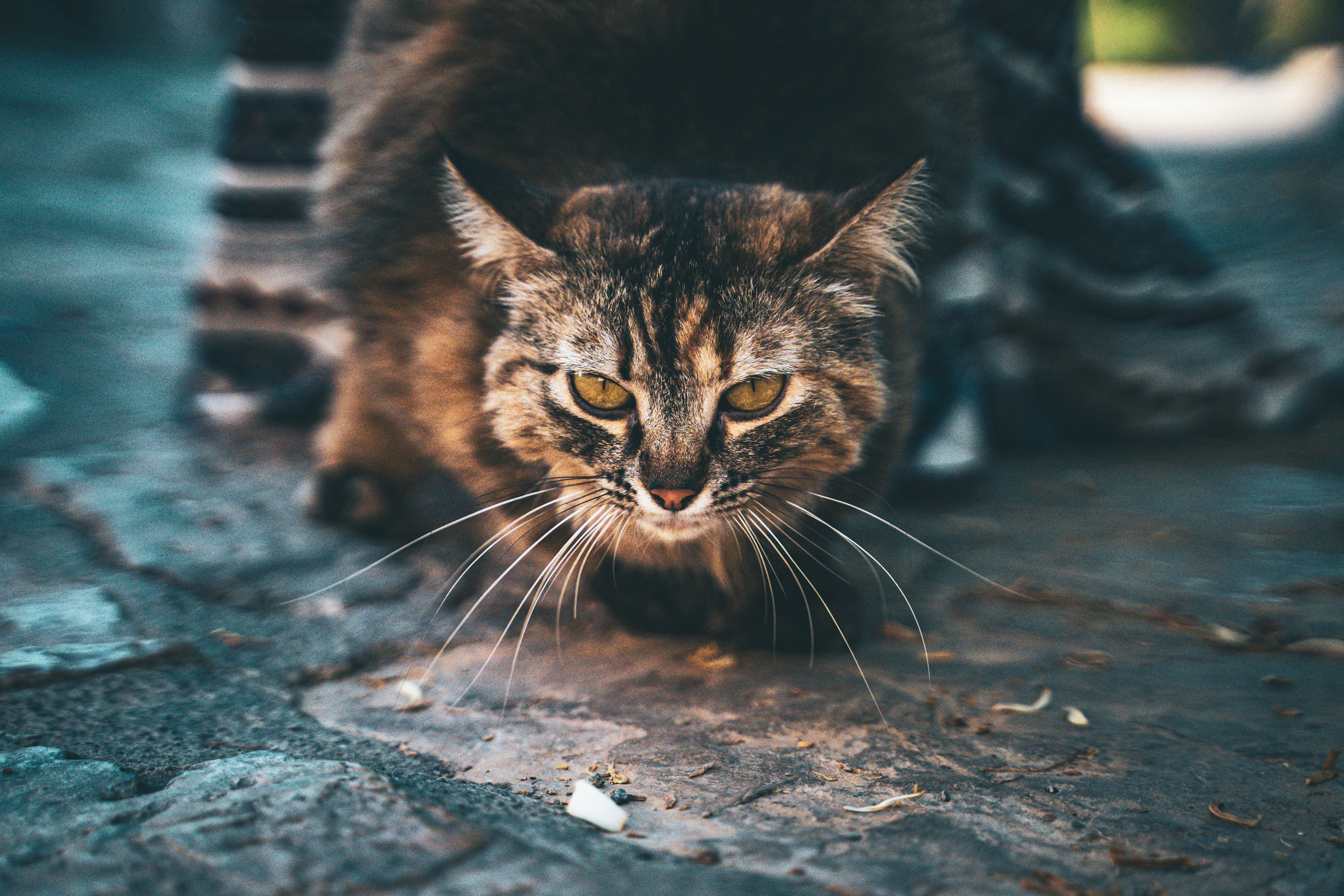 Photo by kishorevaddadi