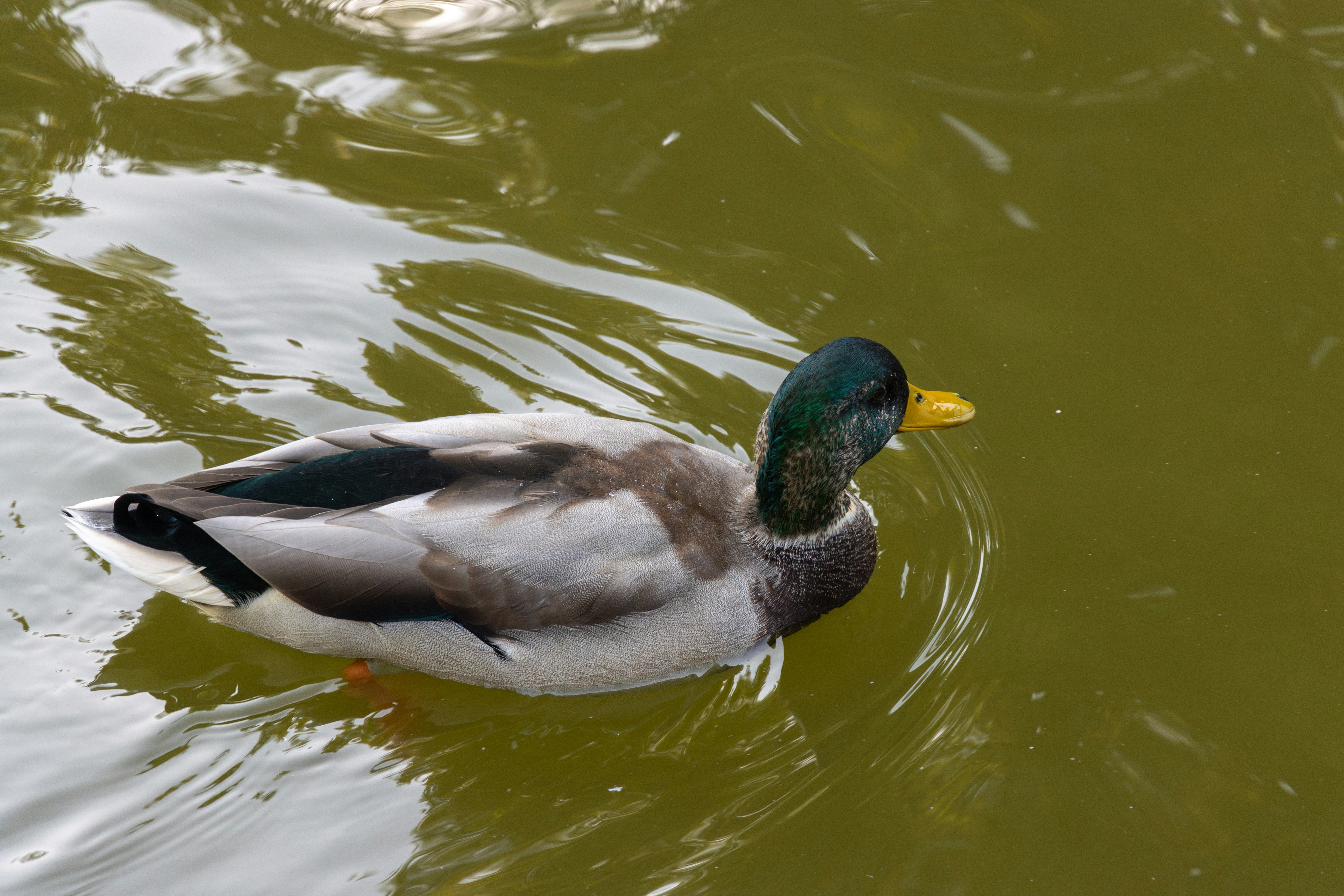 Photo by mechaowlstudios