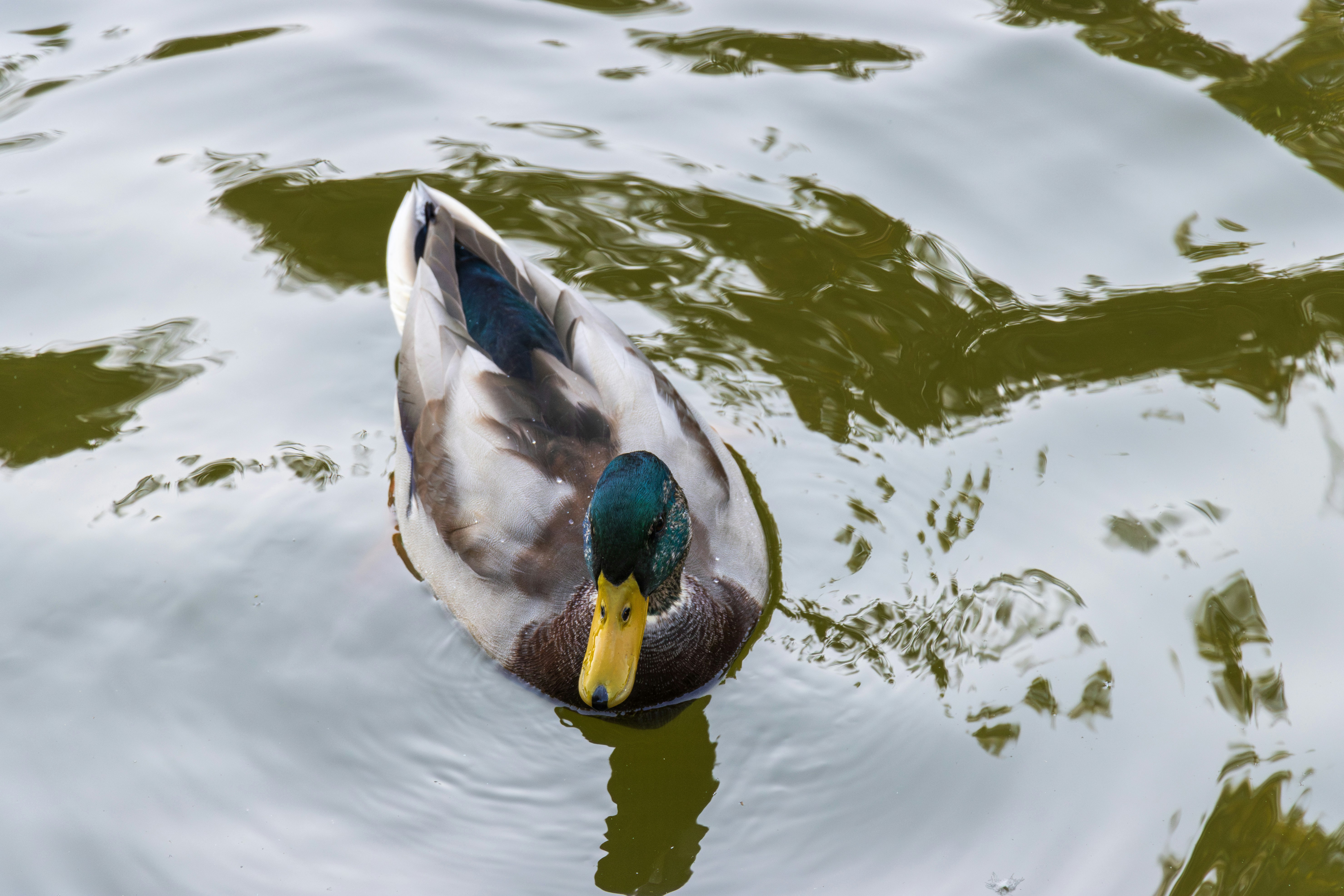 Photo by mechaowlstudios