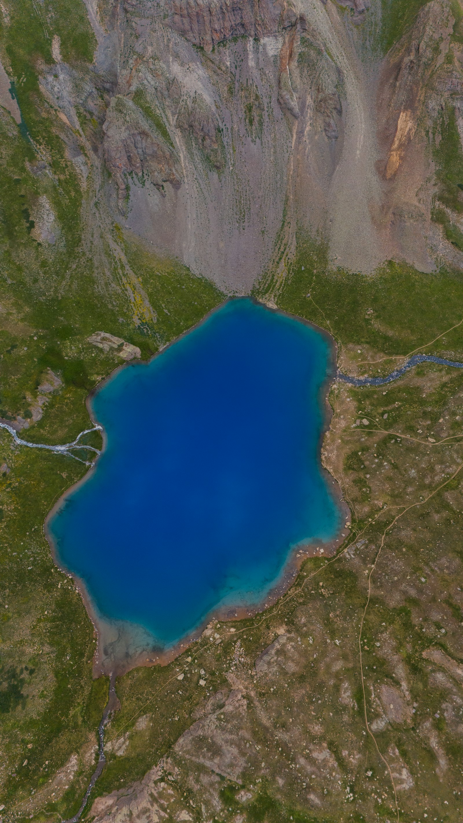 Photo by Alex Moliski on Unsplash