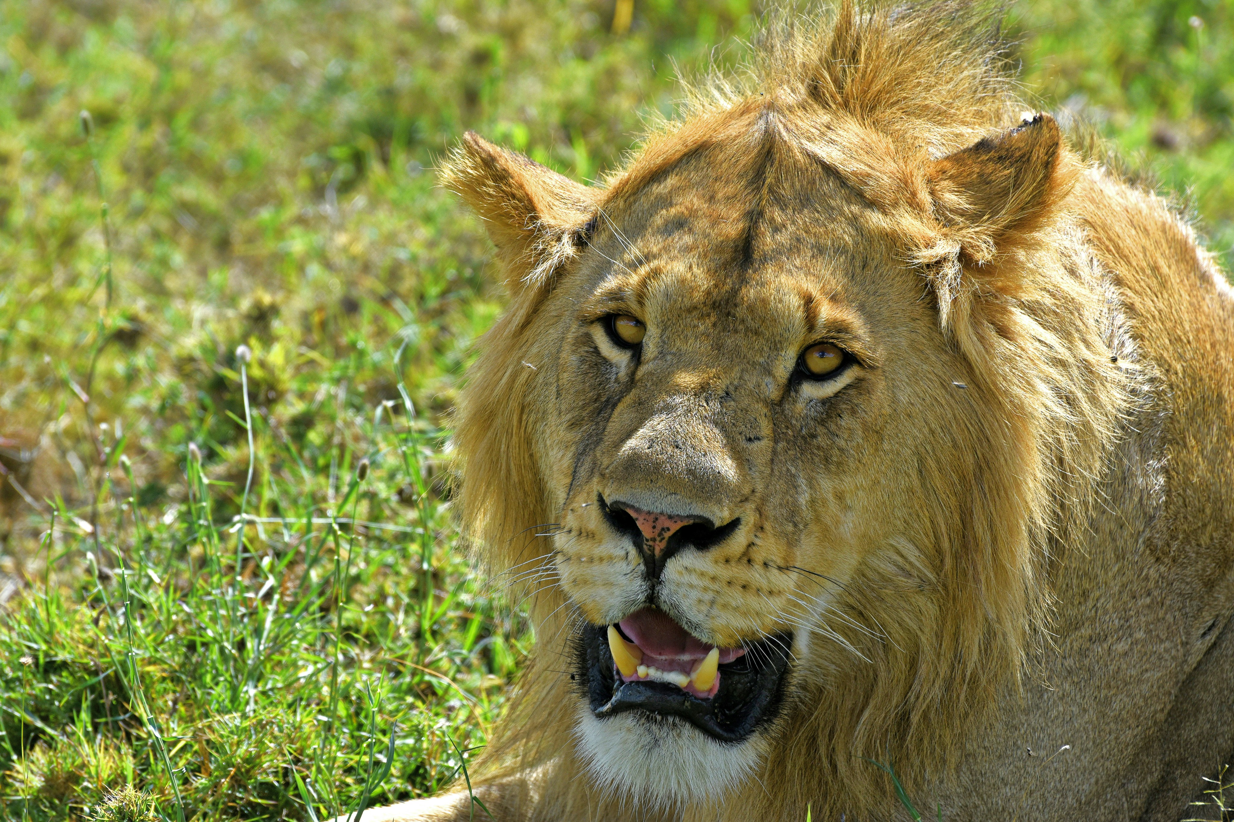 Photo by muffujohar786