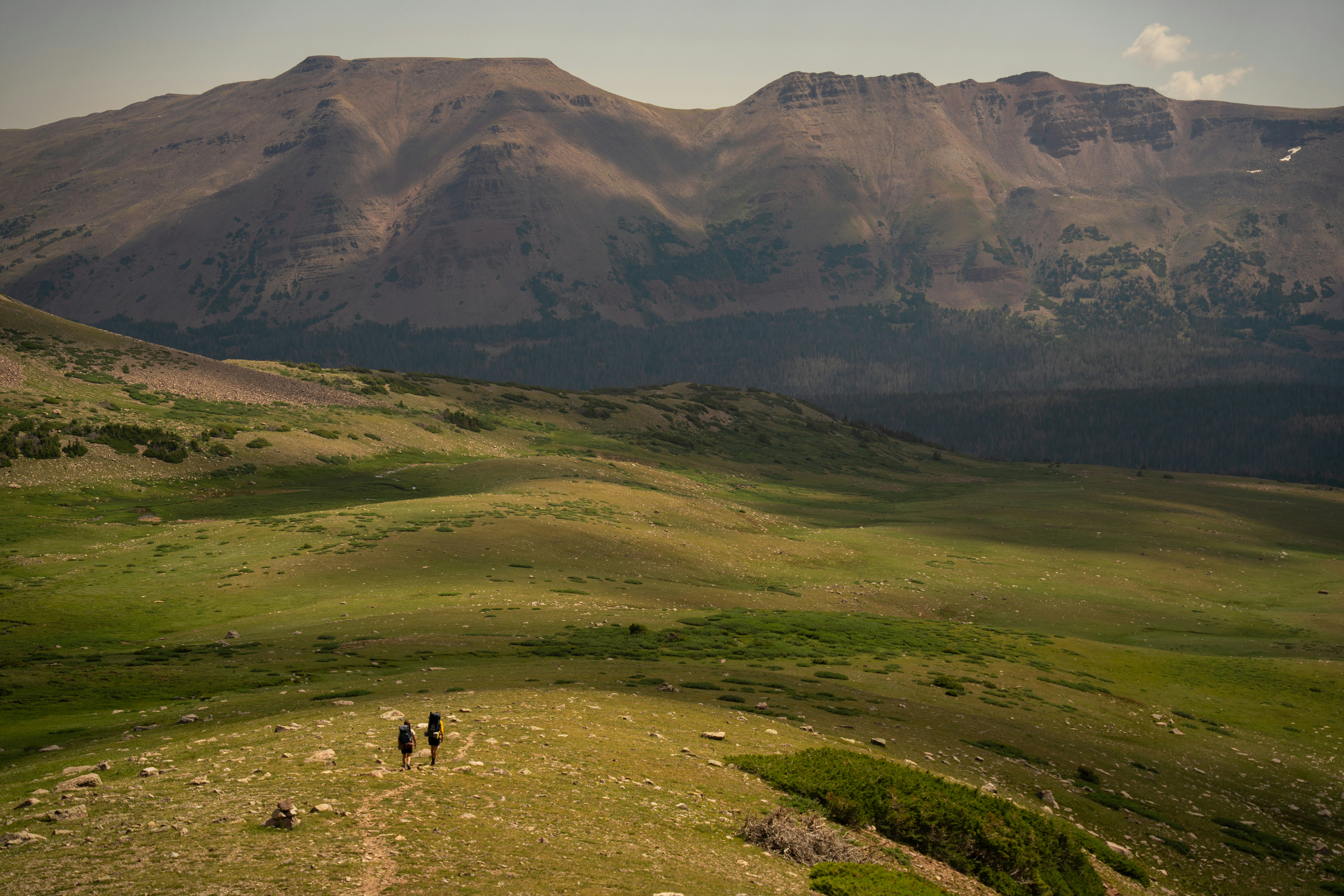 a couple of people walking across a lush green field
