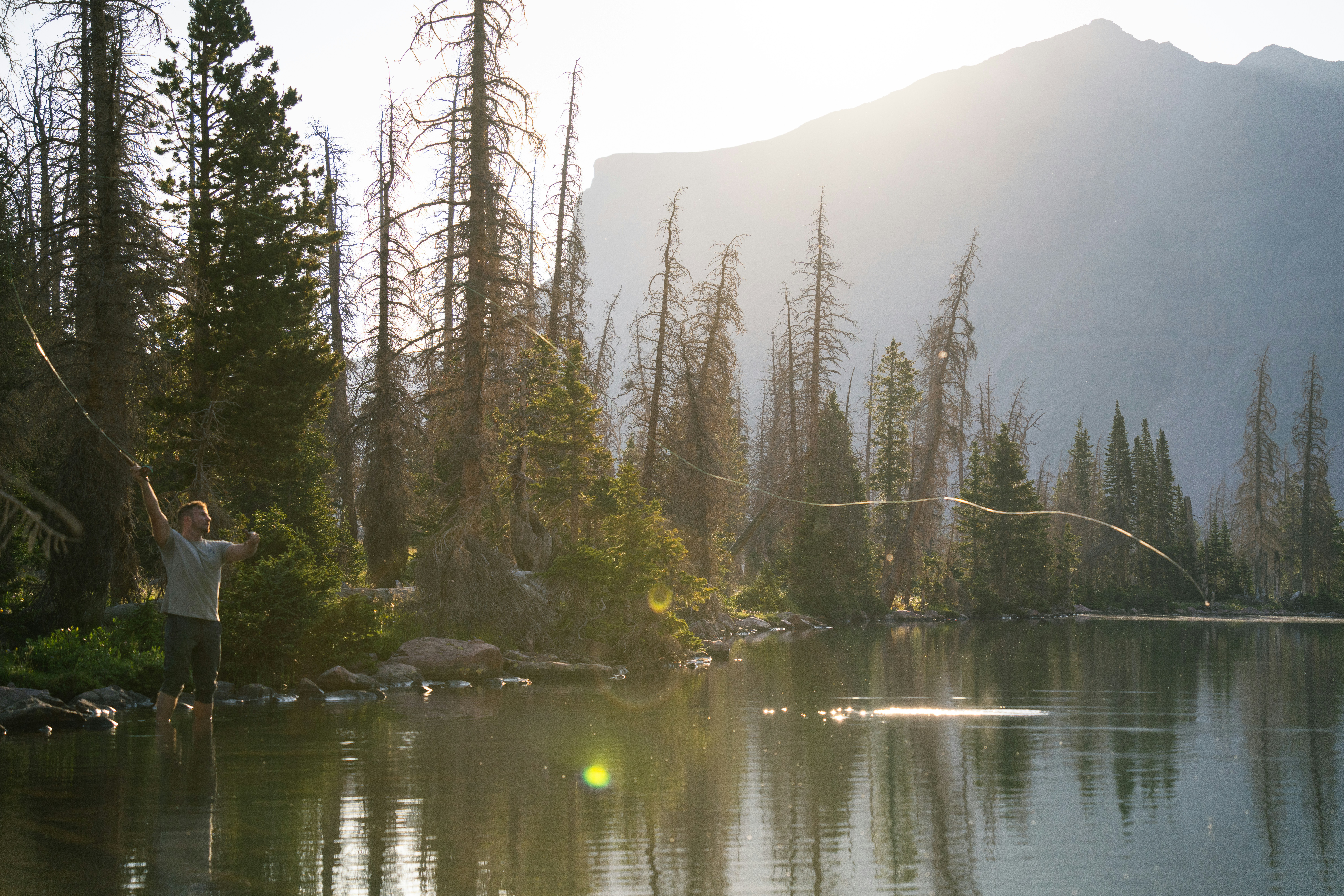 Photo by alexmoliski