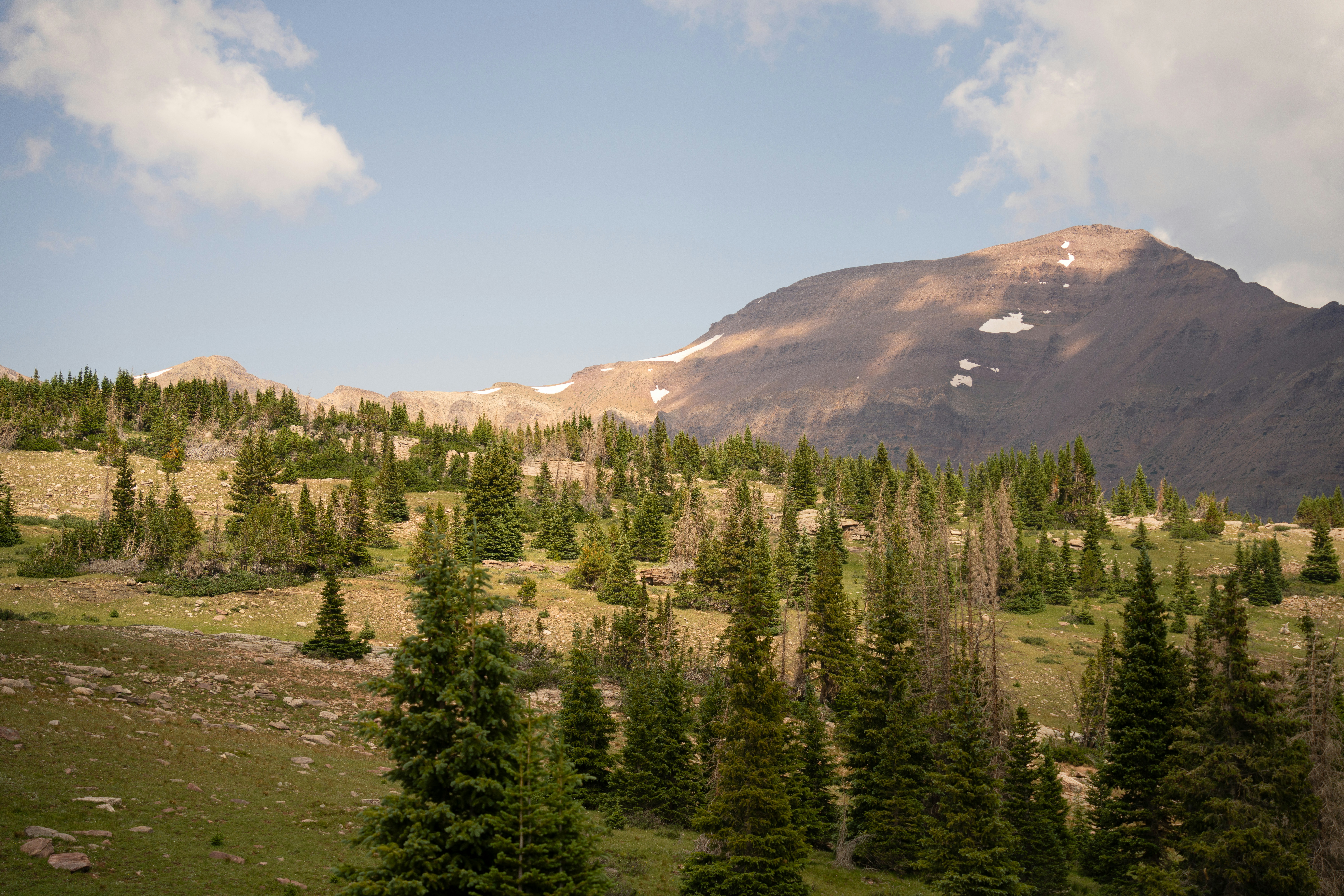 A view of a mountain with trees in the foreground