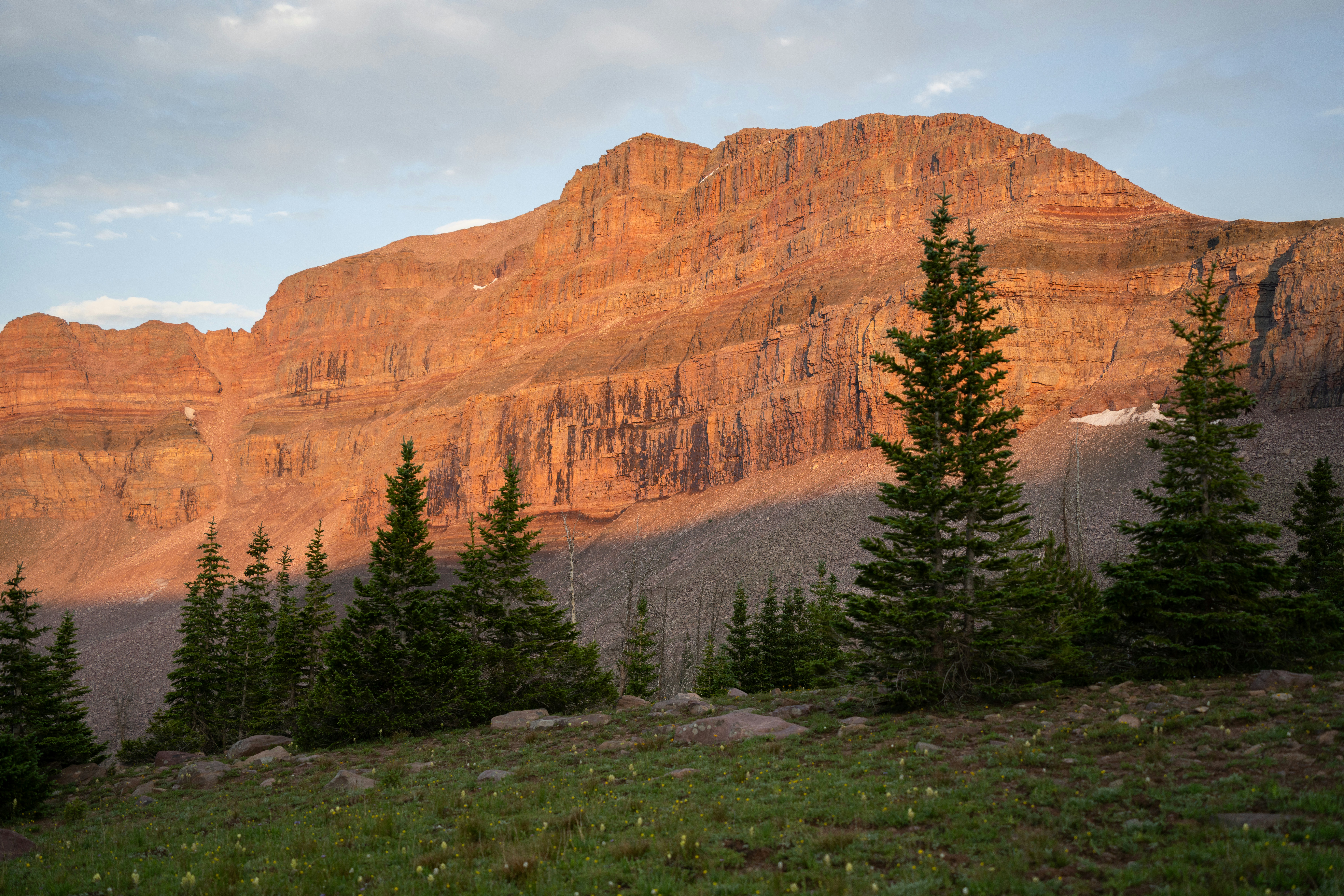 Photo by alexmoliski